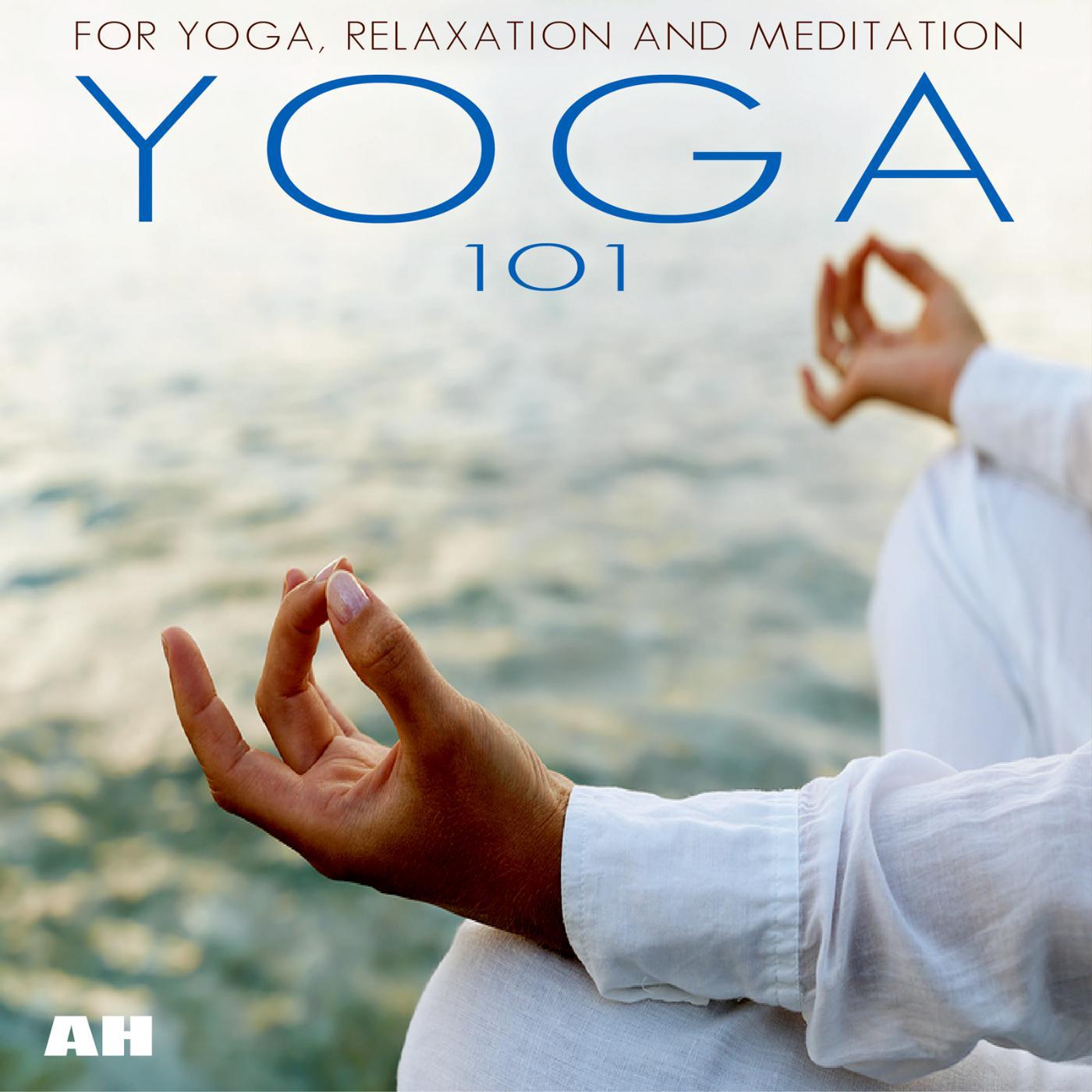 Постер альбома Yoga 101
