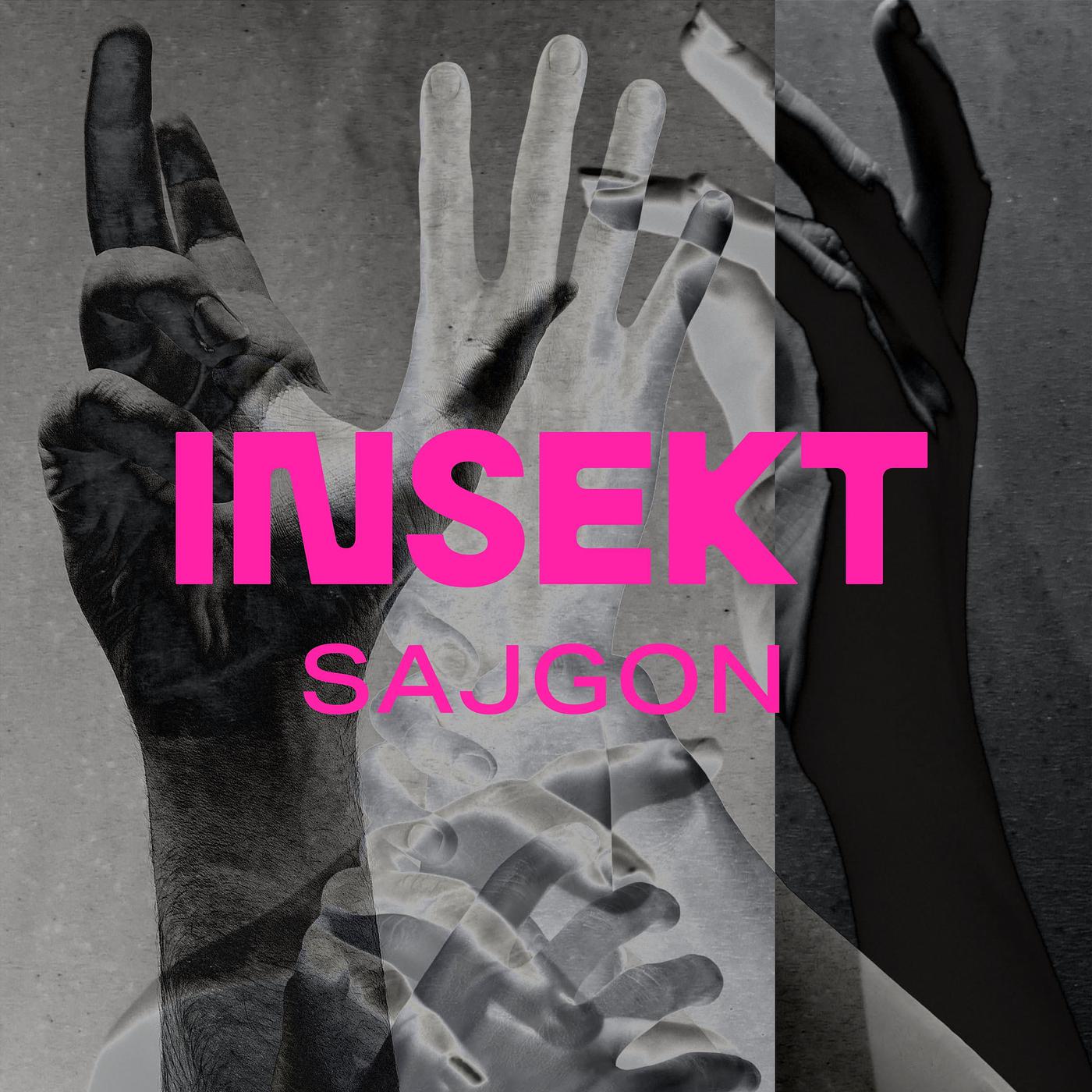 Постер альбома Sajgon