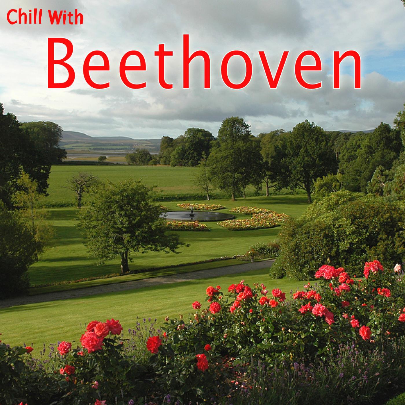 Постер альбома Chill With Beethoven