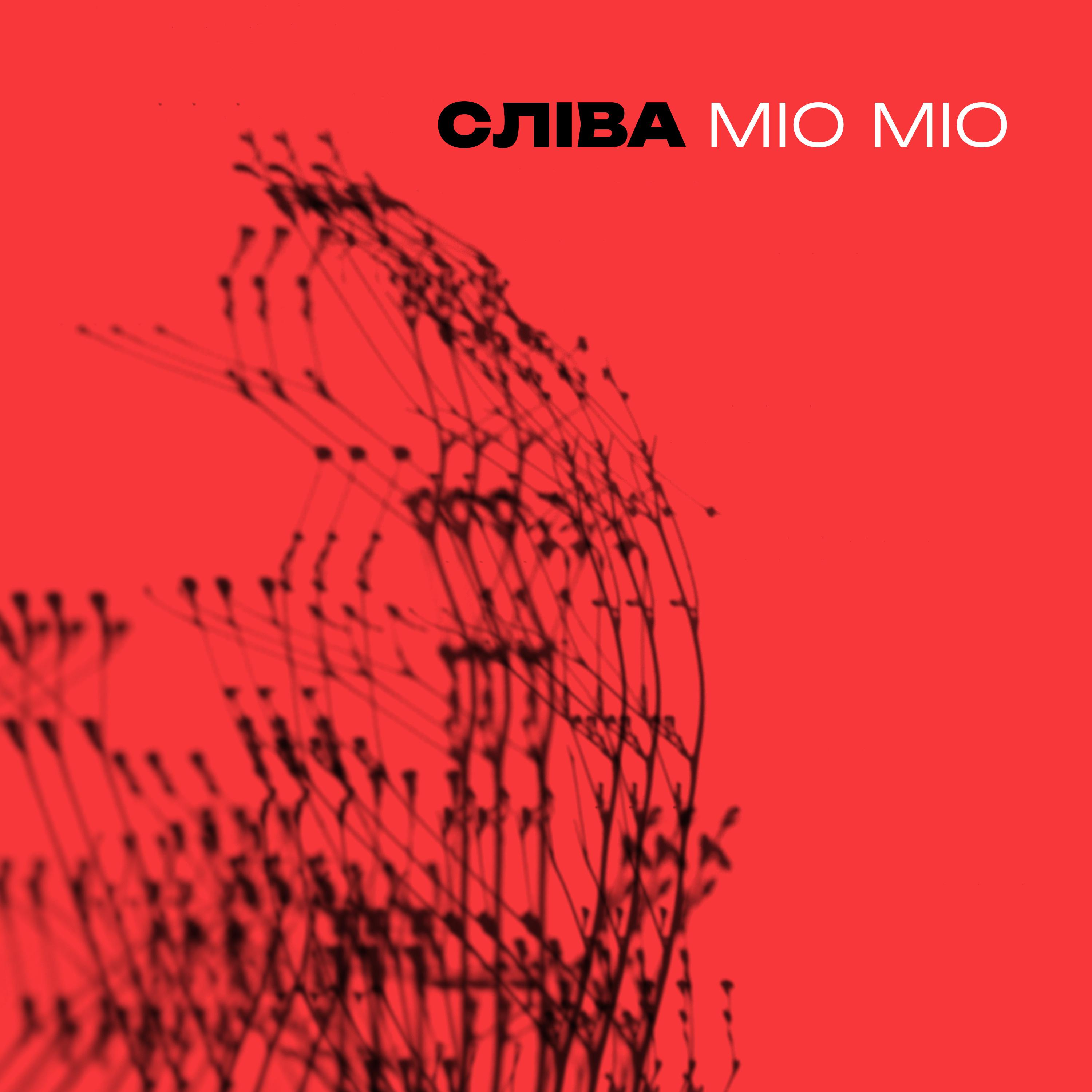 Постер альбома Mio Mio