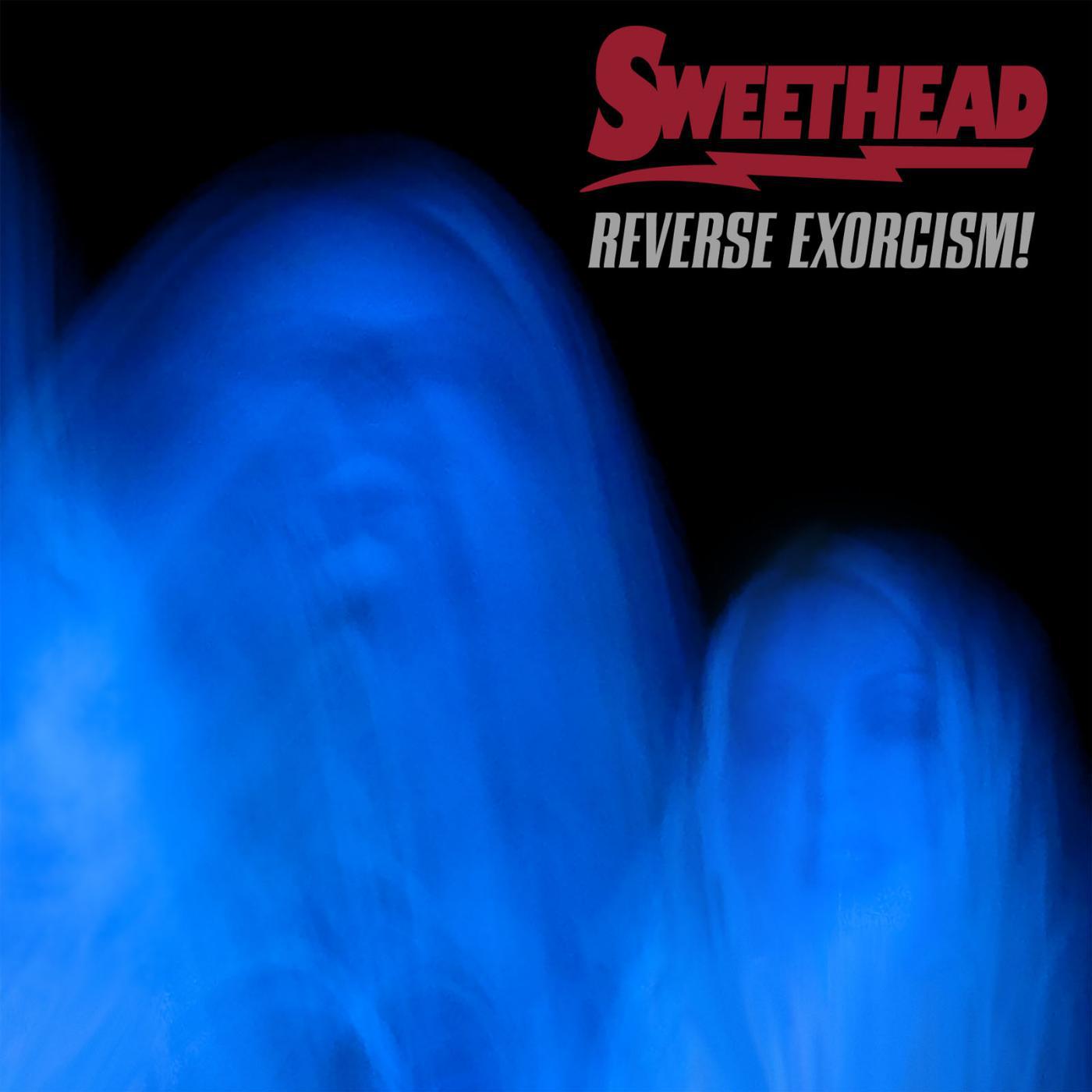 Постер альбома Reverse Exorcism!