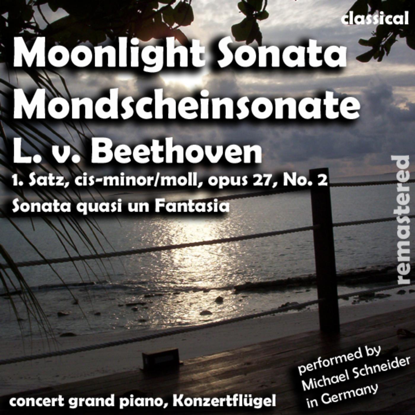 L. V. Beethoven - Moonlight Sonata , Mondschein Sonate (feat. Michael Schneider)