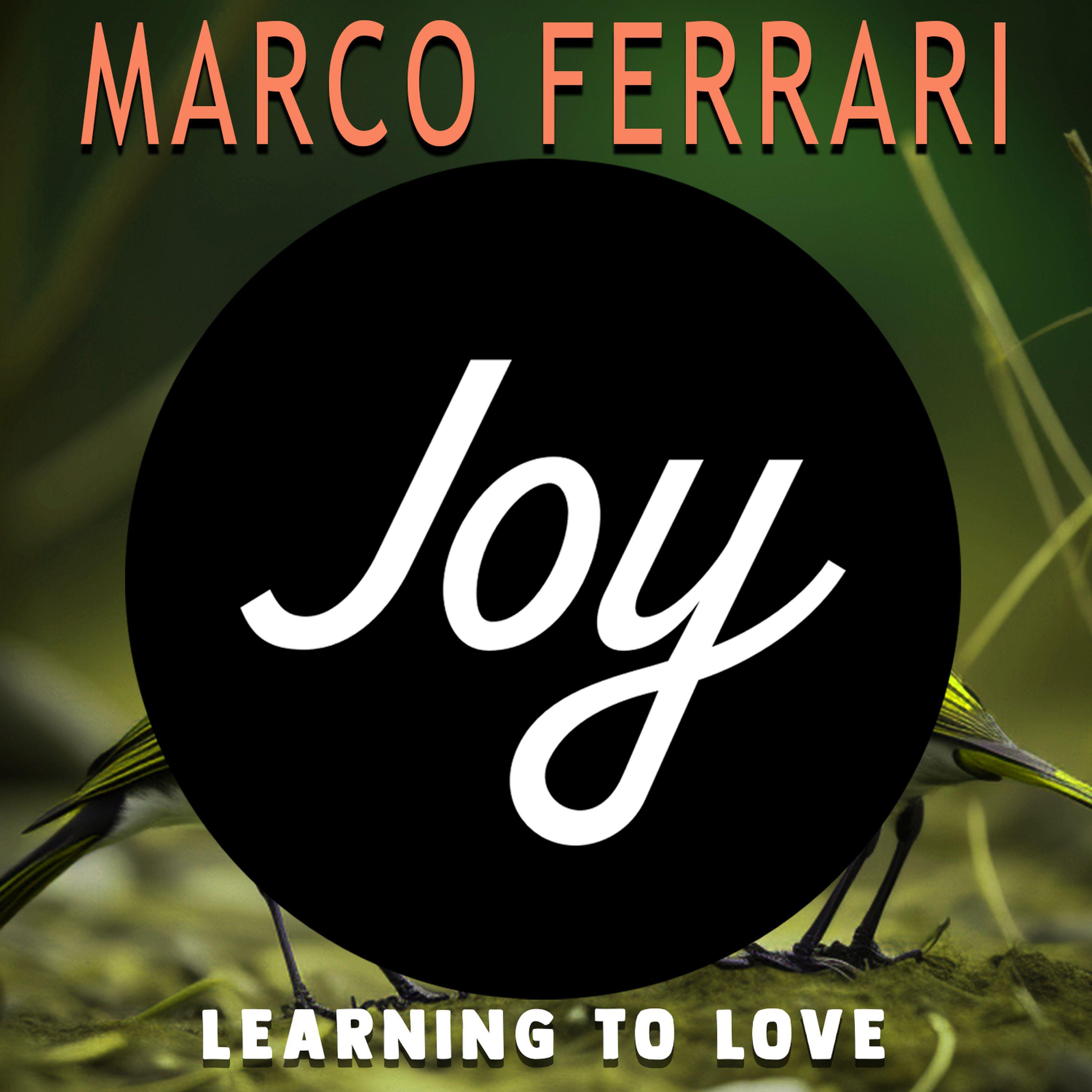 Постер альбома Learning to Love