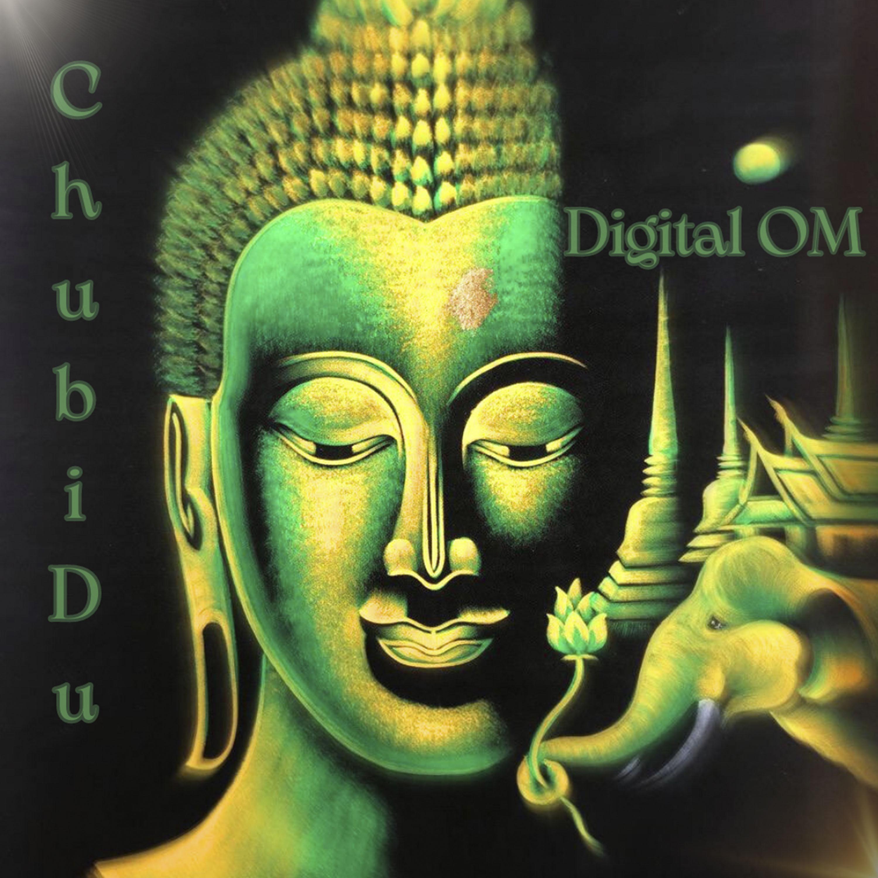Постер альбома Digital OM