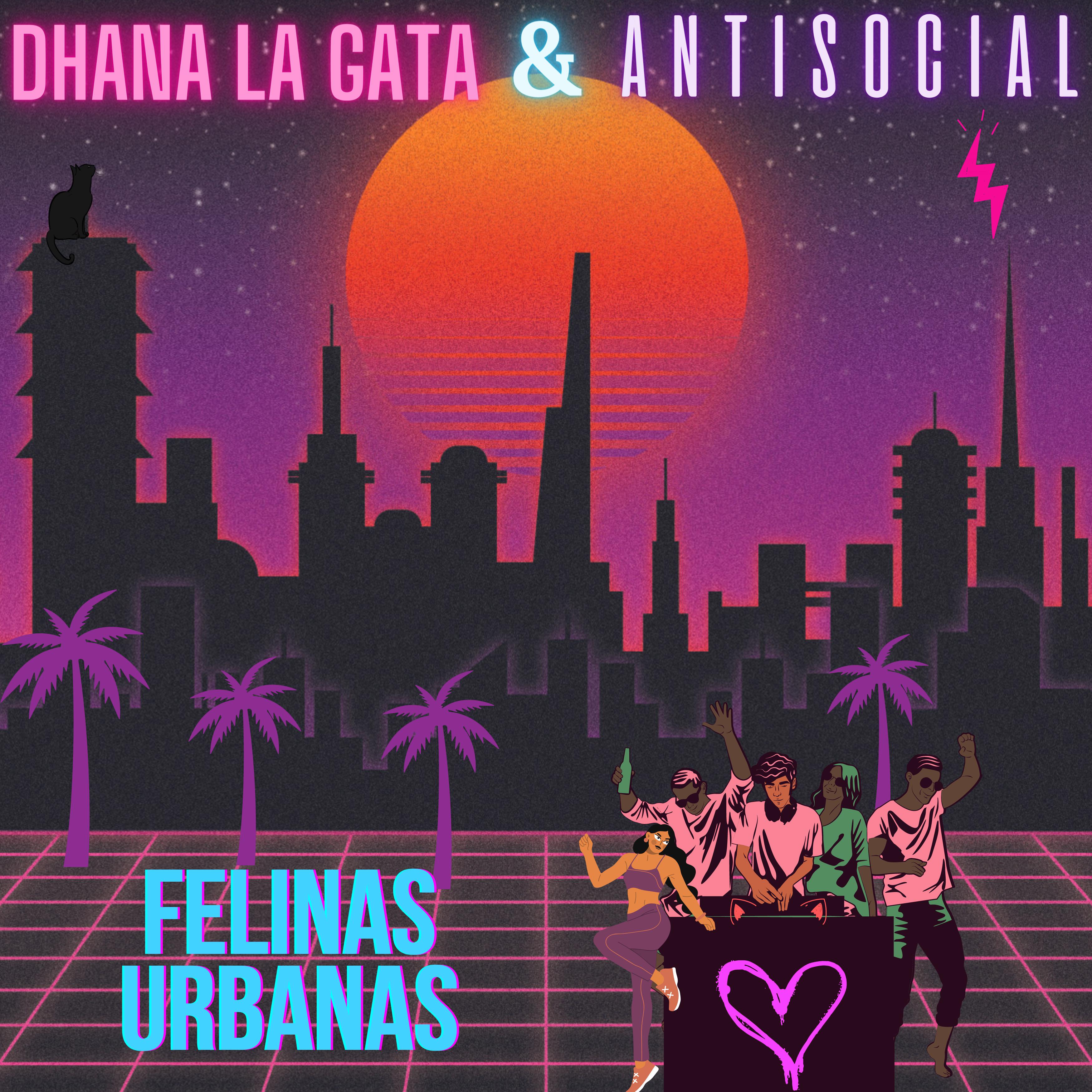 Постер альбома Felinas Urbanas