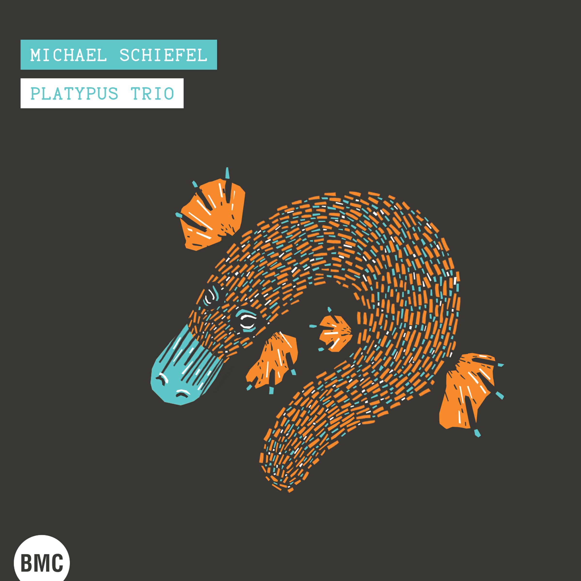 Постер альбома Platypus Trio
