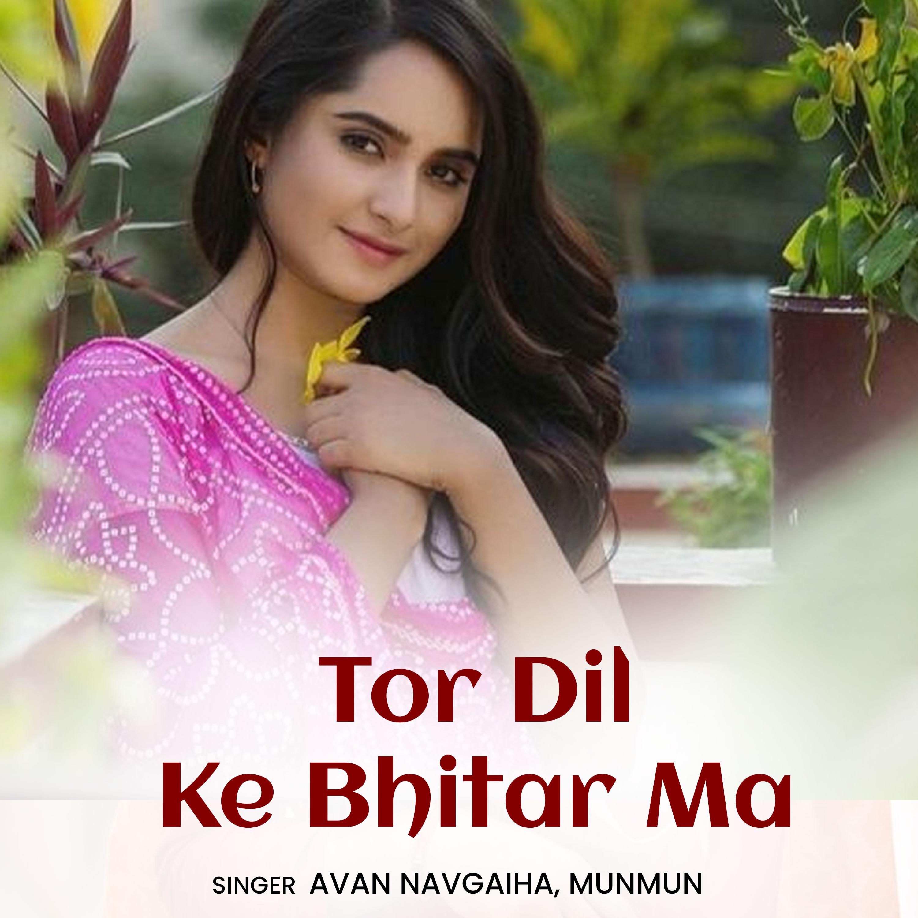 Постер альбома Tor Dil Ke Bhitar Ma