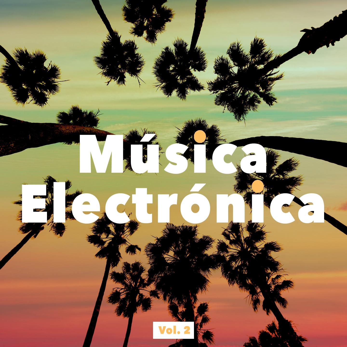 Постер альбома Musica Electronica, Vol. 2