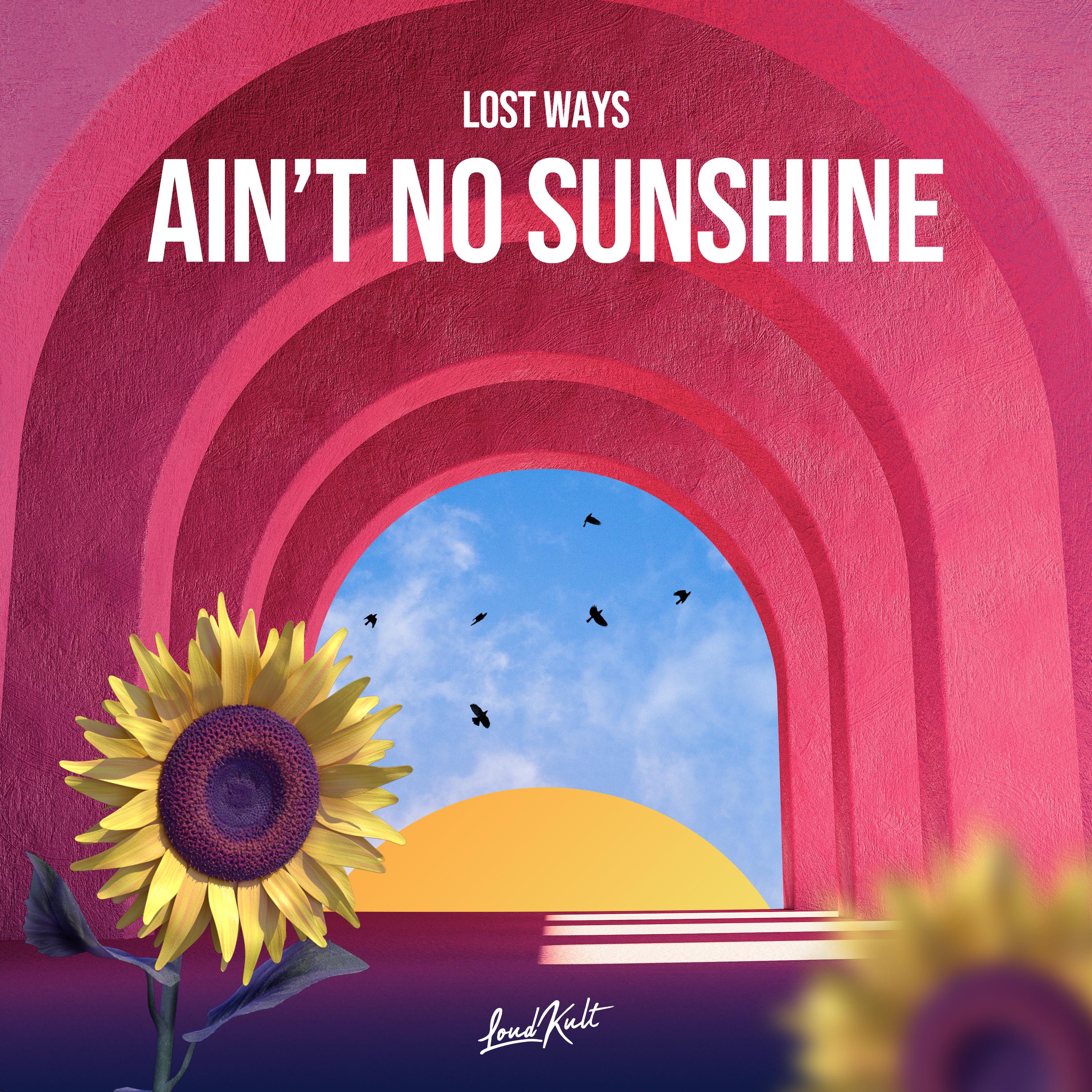 Постер альбома Ain't no sunshine