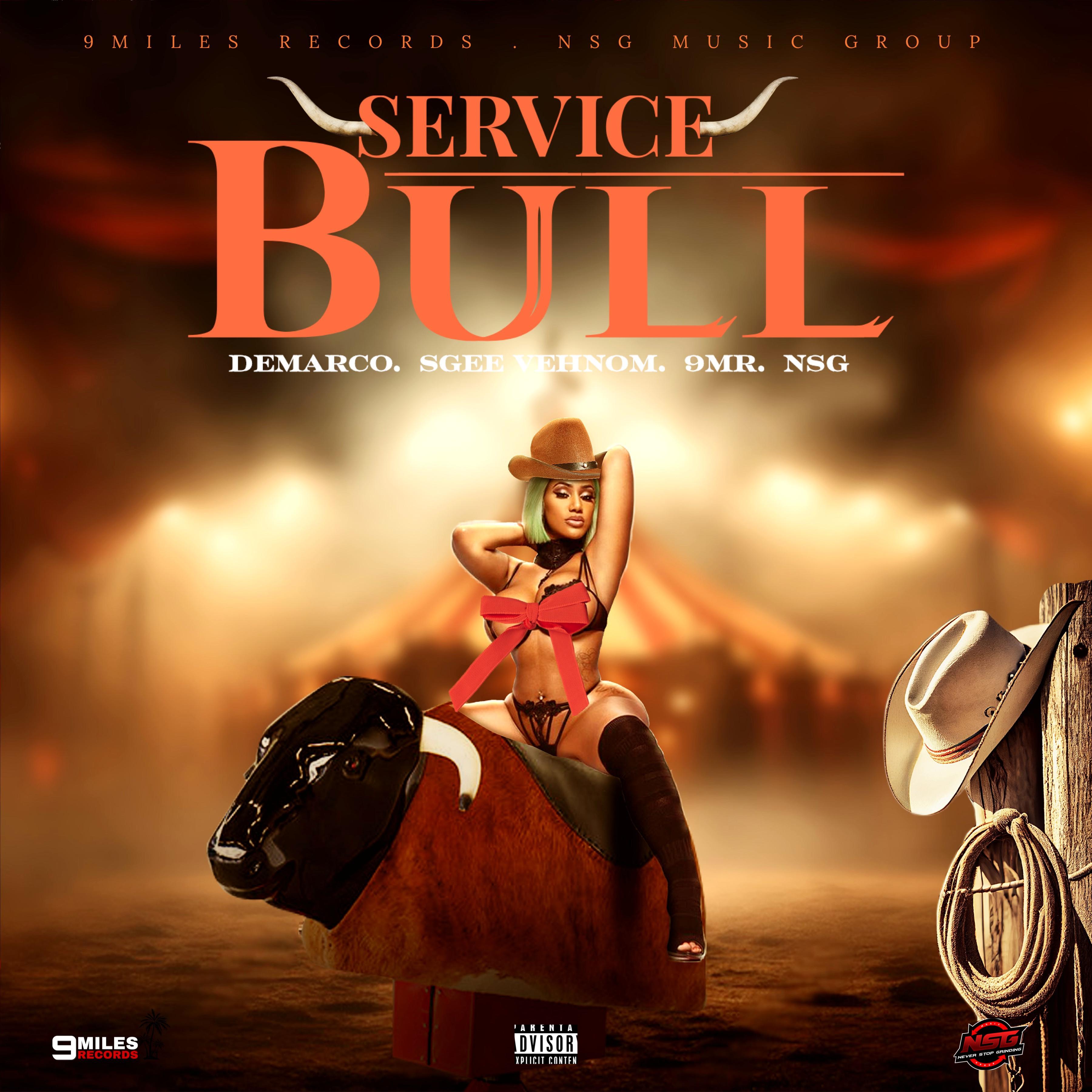 Постер альбома Service Bull