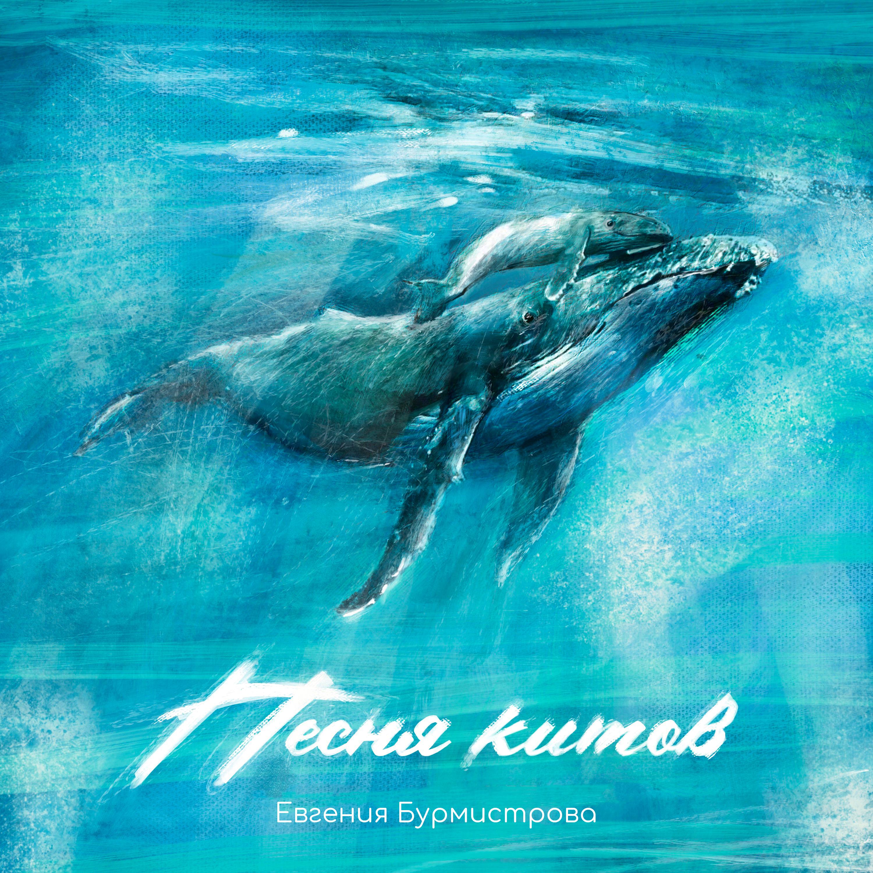 Постер альбома Песня китов