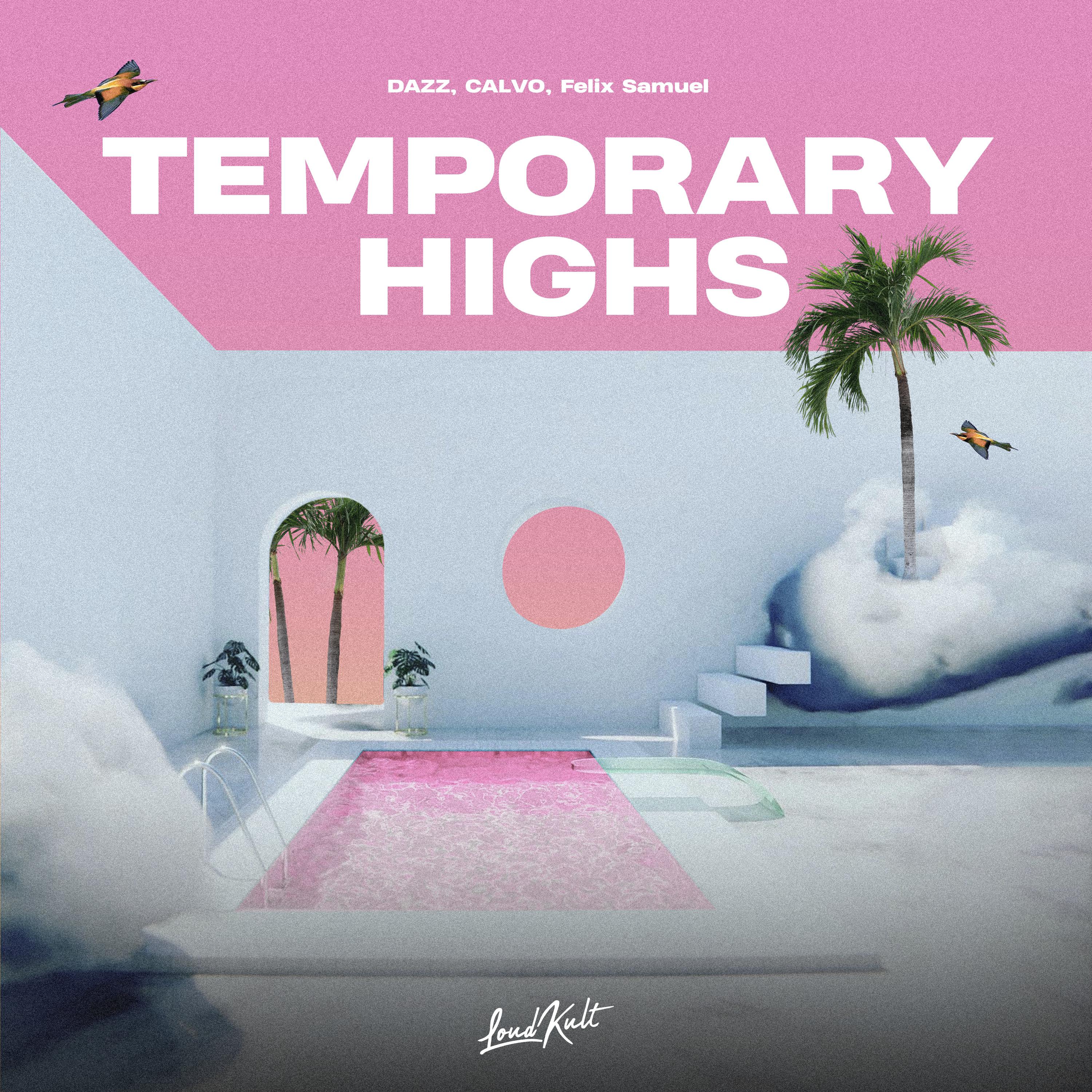 Постер альбома Temporary Highs