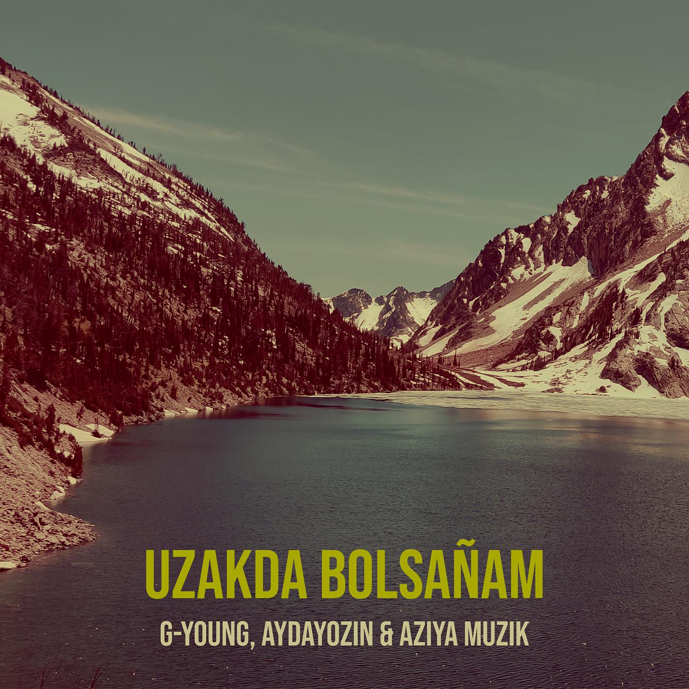 Постер альбома Uzakda Bolsañam