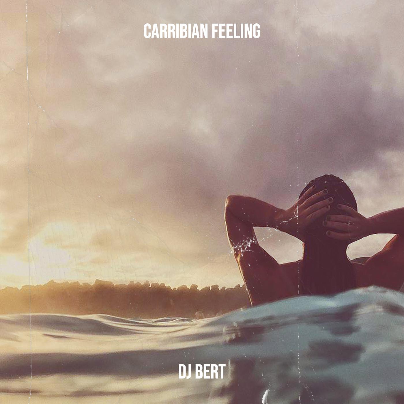 Постер альбома Carribian Feeling