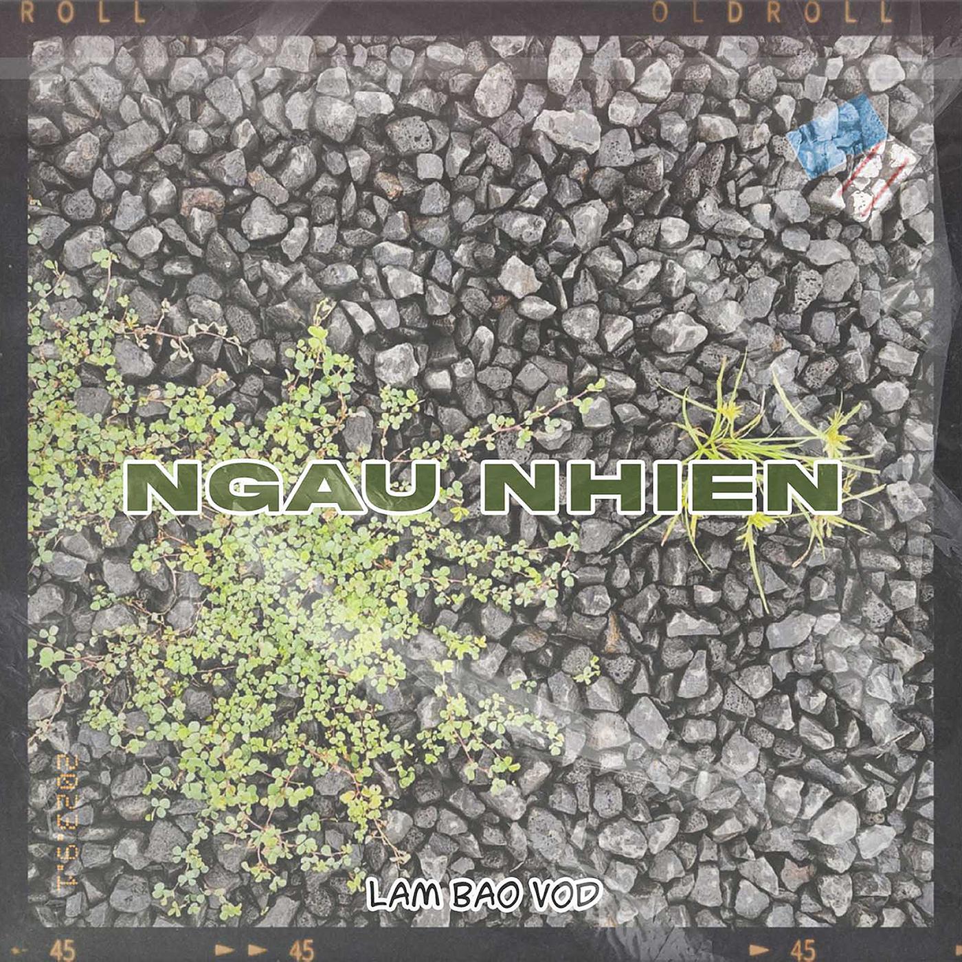 Постер альбома Ngẫu Nhiên