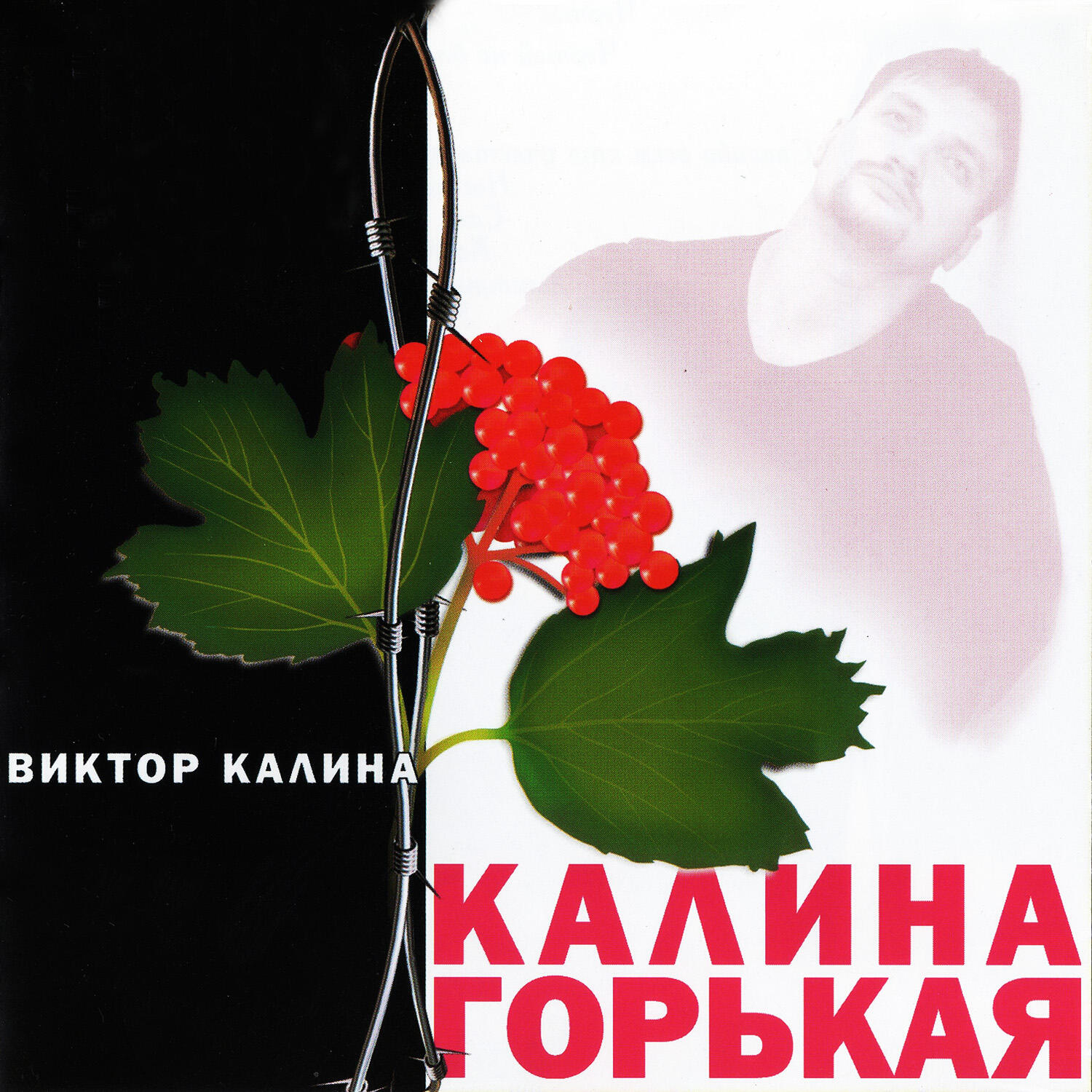 Песни калина. Калина Виктор - Калина горькая album. Горчит Калина. Виктор Калина старые друзья. Калина красная Калина горькая текст.