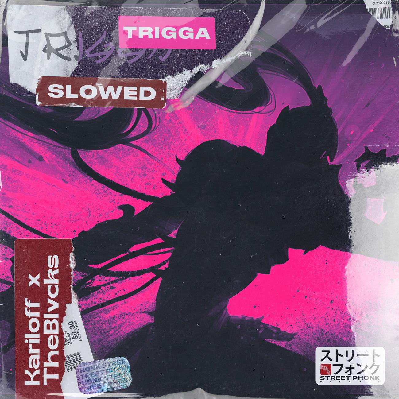 Постер альбома Trigga