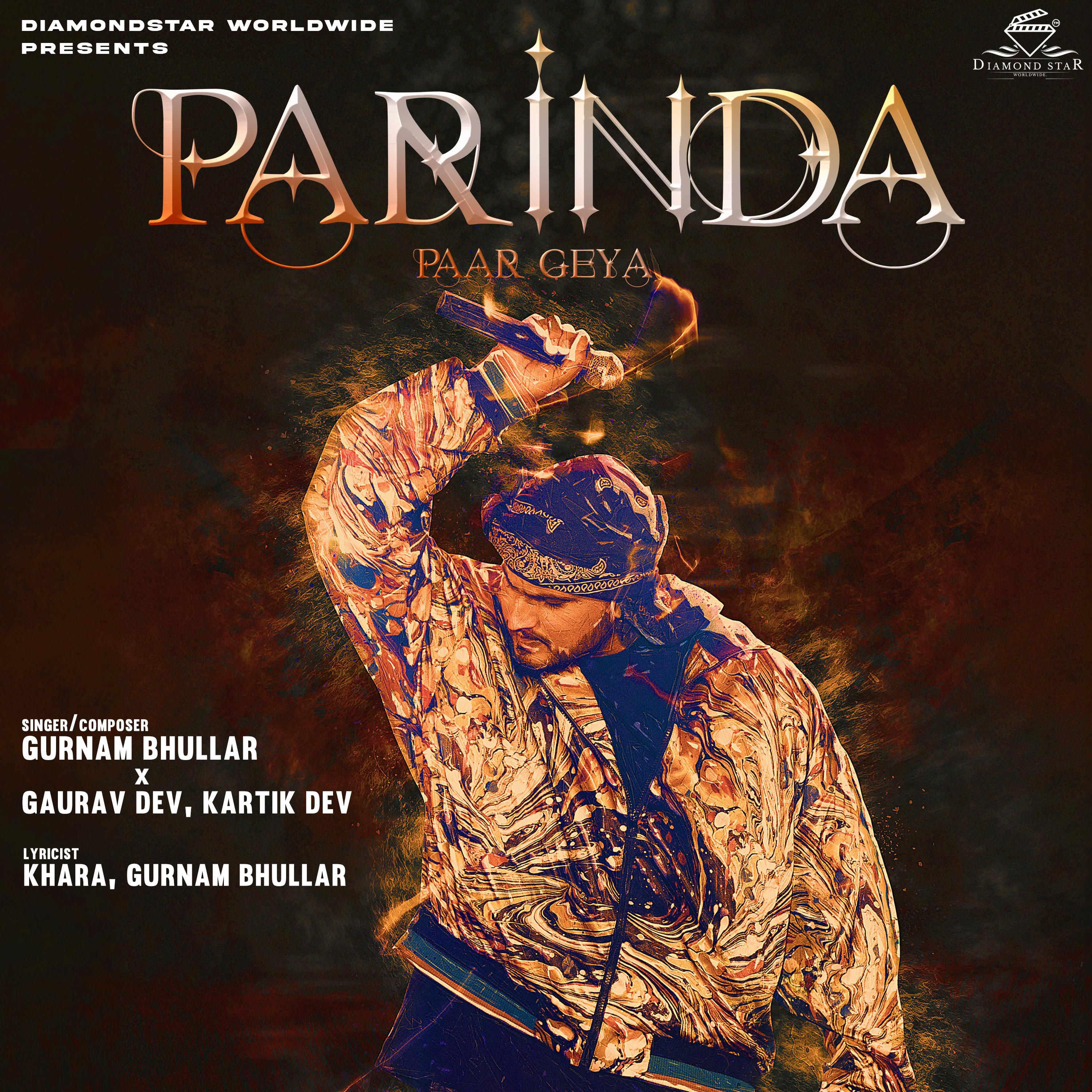 Постер альбома Parinda Paar Geyaa