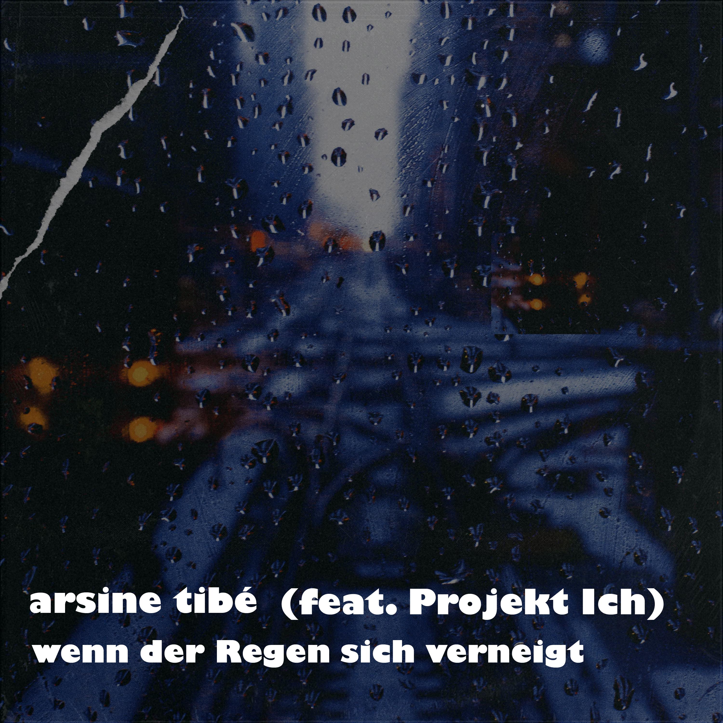 Постер альбома Wenn der Regen sich verneigt