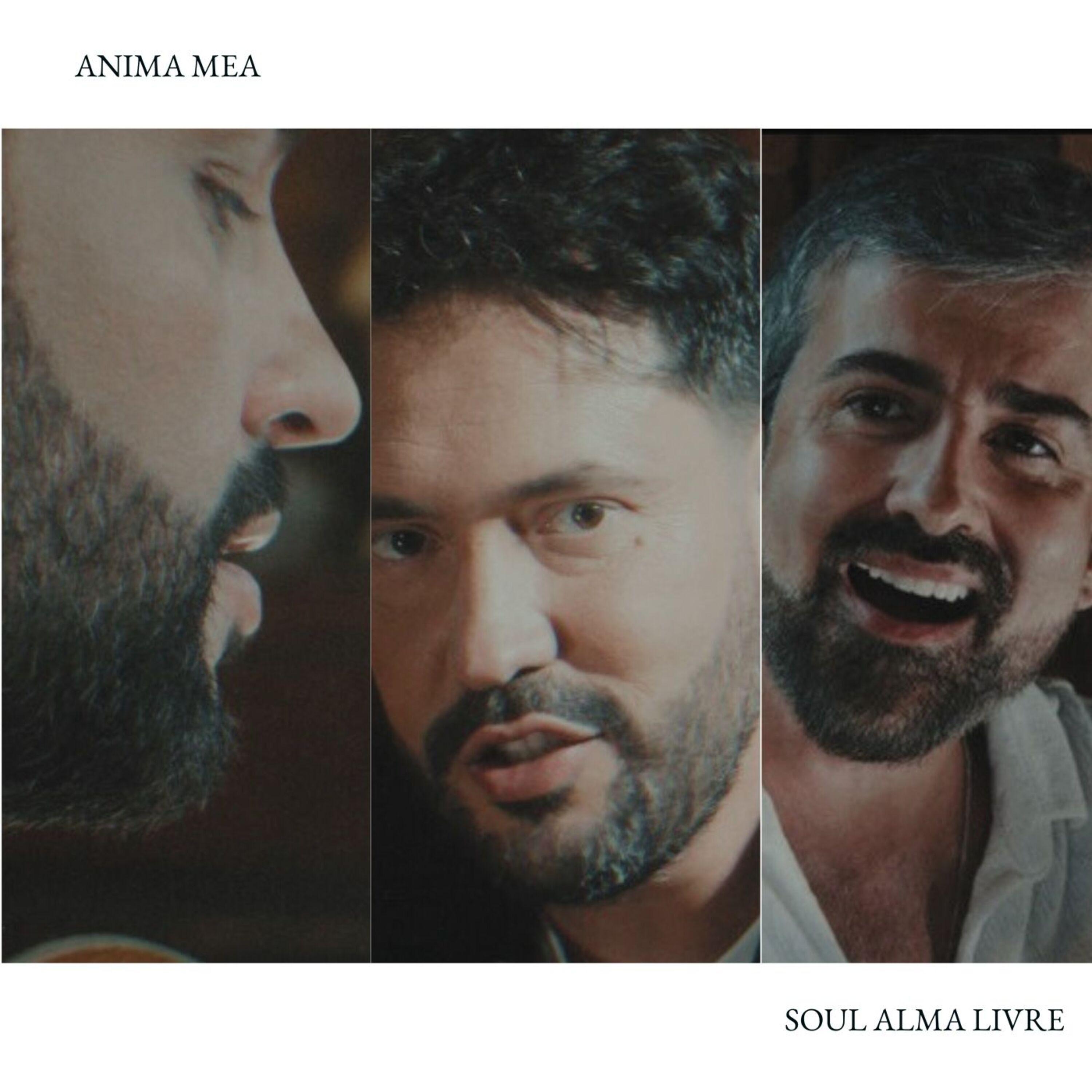 Постер альбома Soul Alma Livre