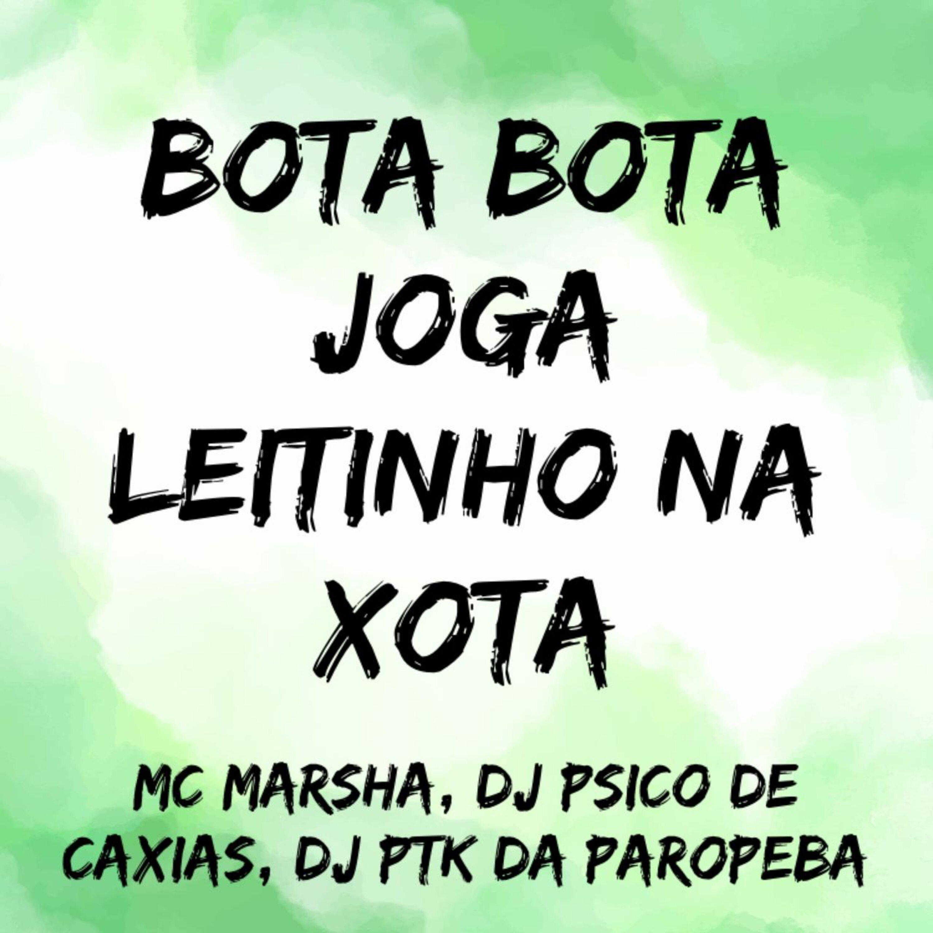 Постер альбома Bota Bota Joga Leitinho na Xota