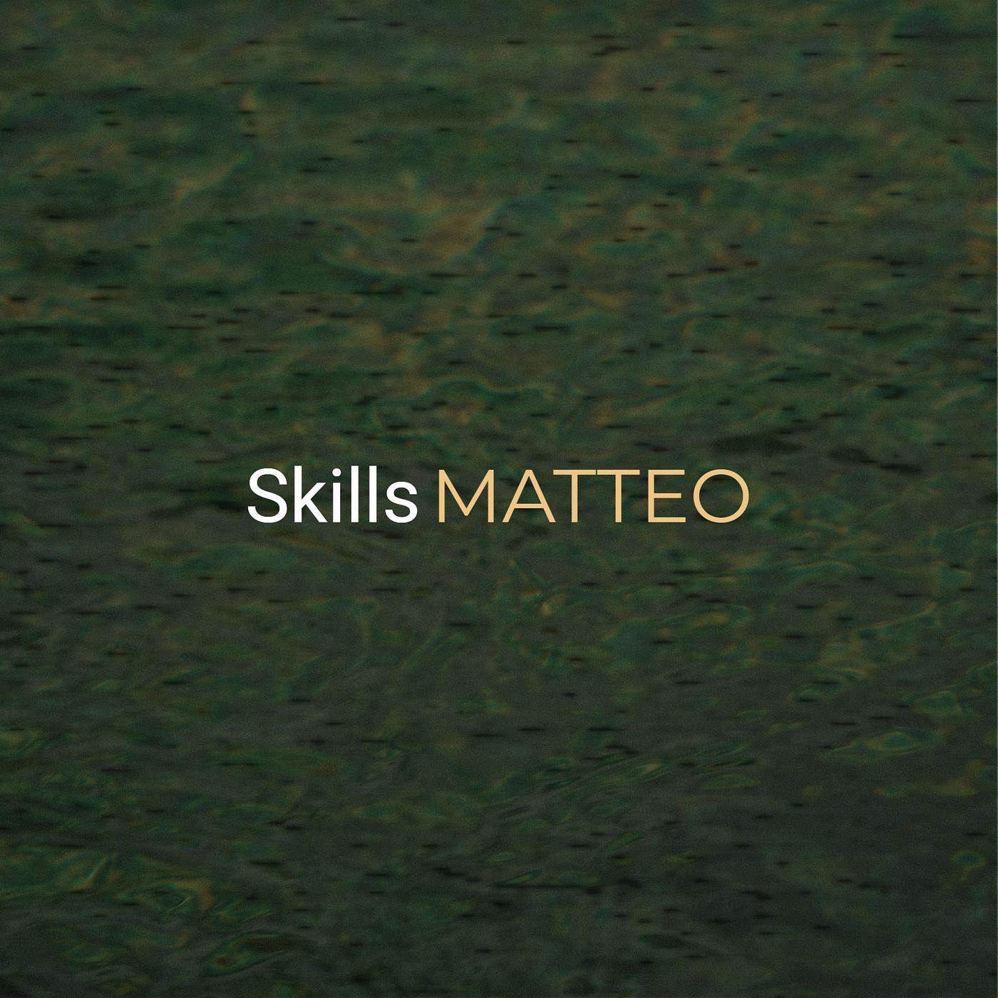 Постер альбома Skills
