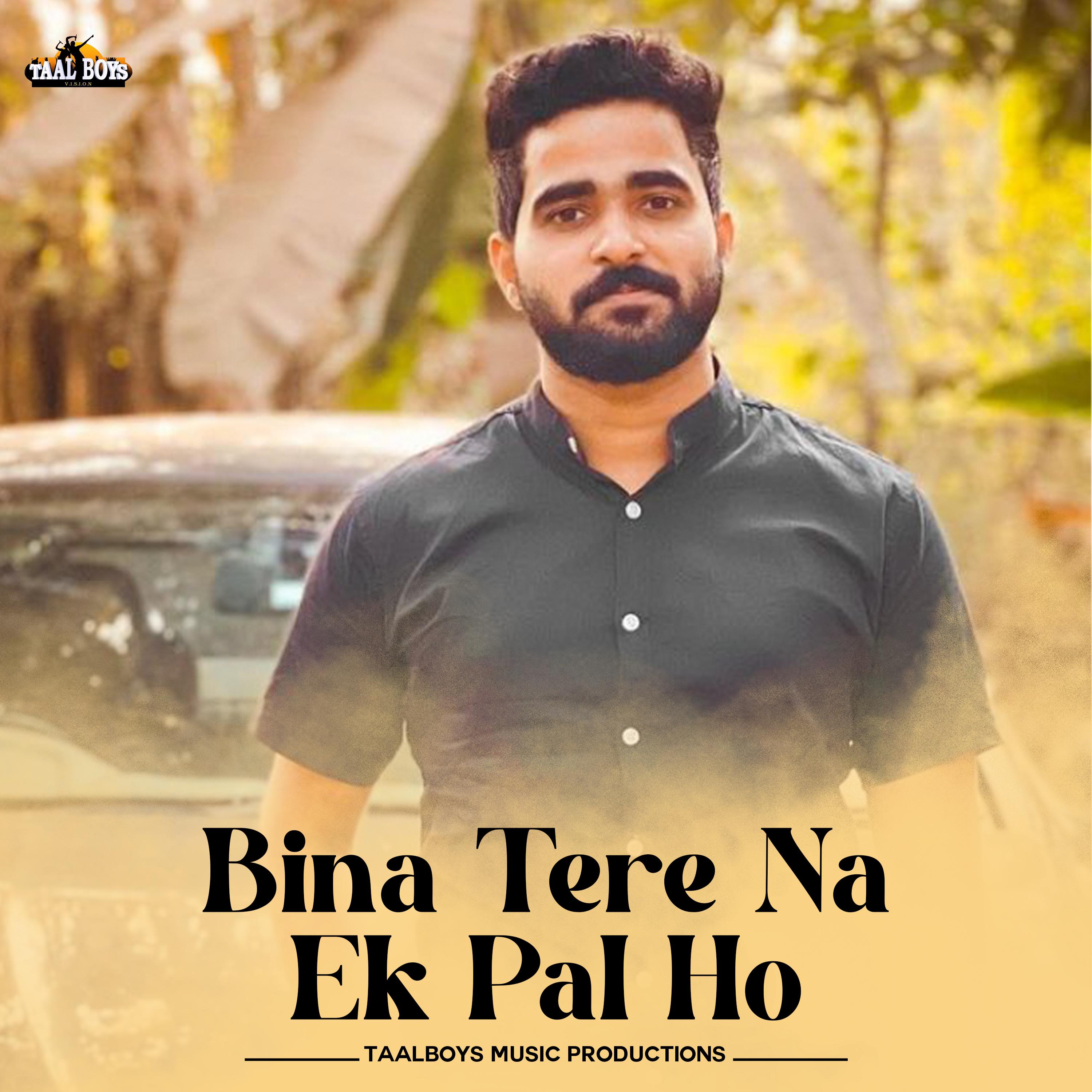 Постер альбома Bina Tere Na Ek Pal Ho