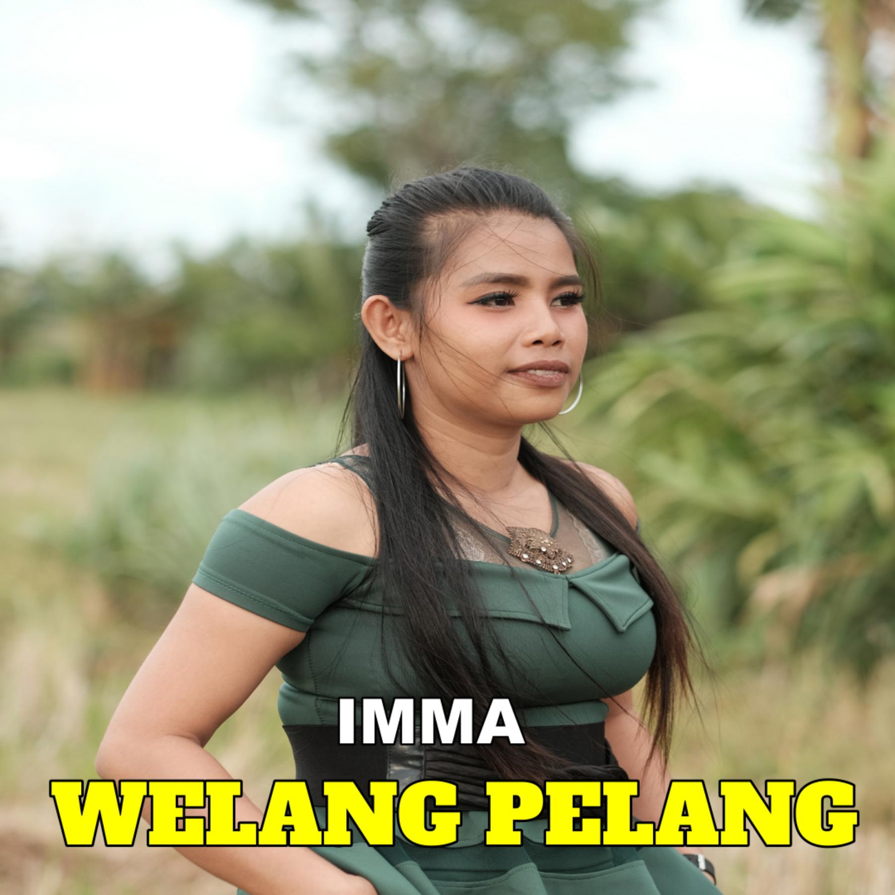 Постер альбома Welang Pelang