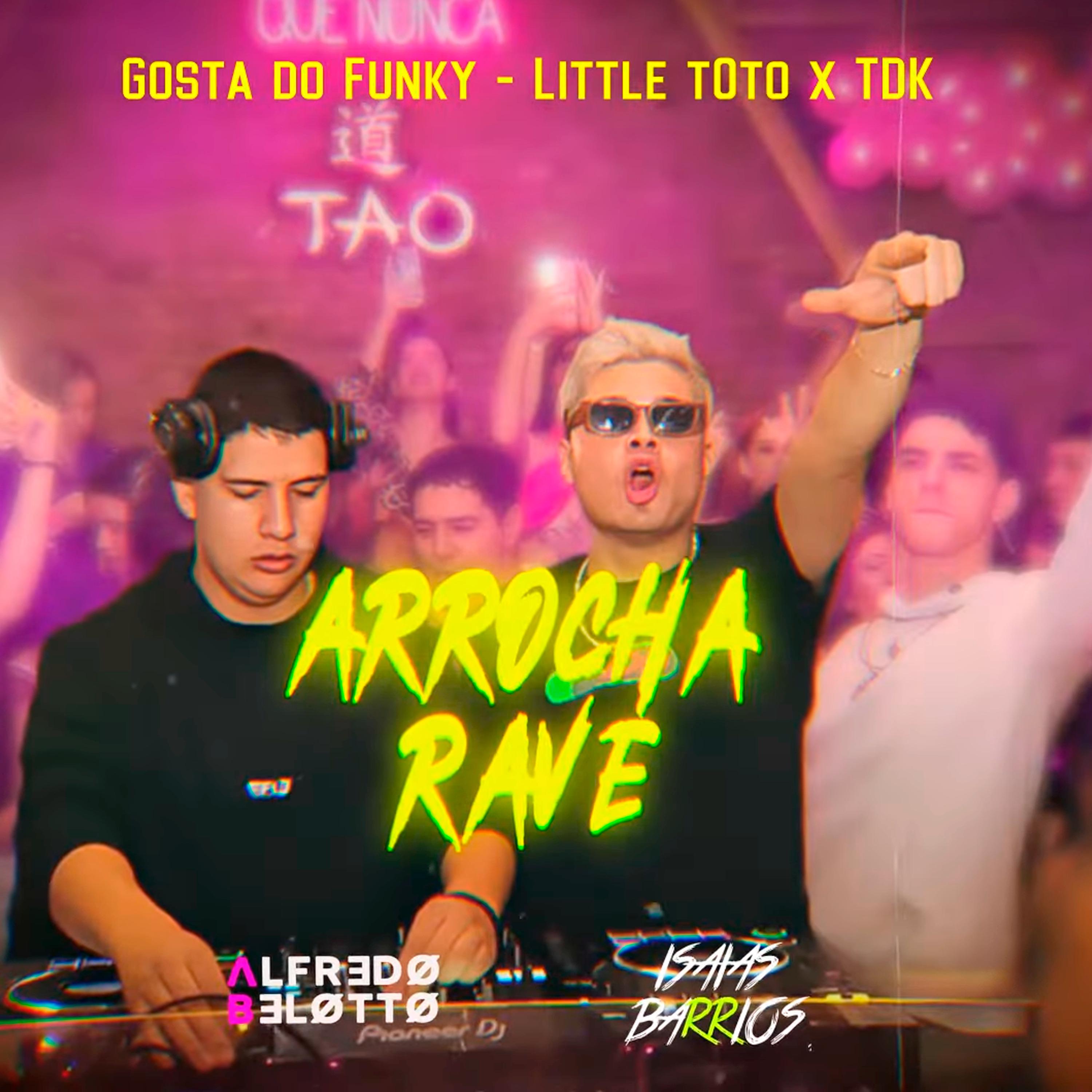 Постер альбома Gosta Do Funky (Arrocha Rave)