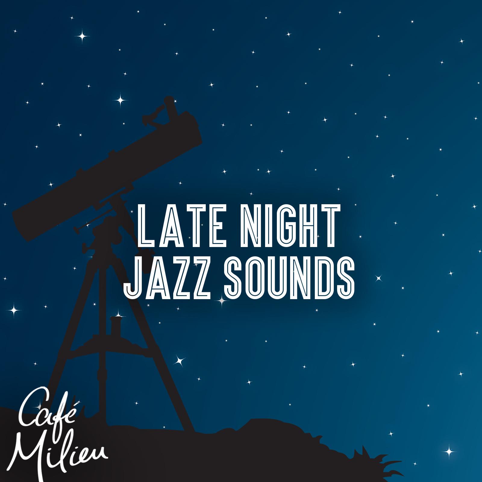 Постер альбома Late Night Jazz Sounds