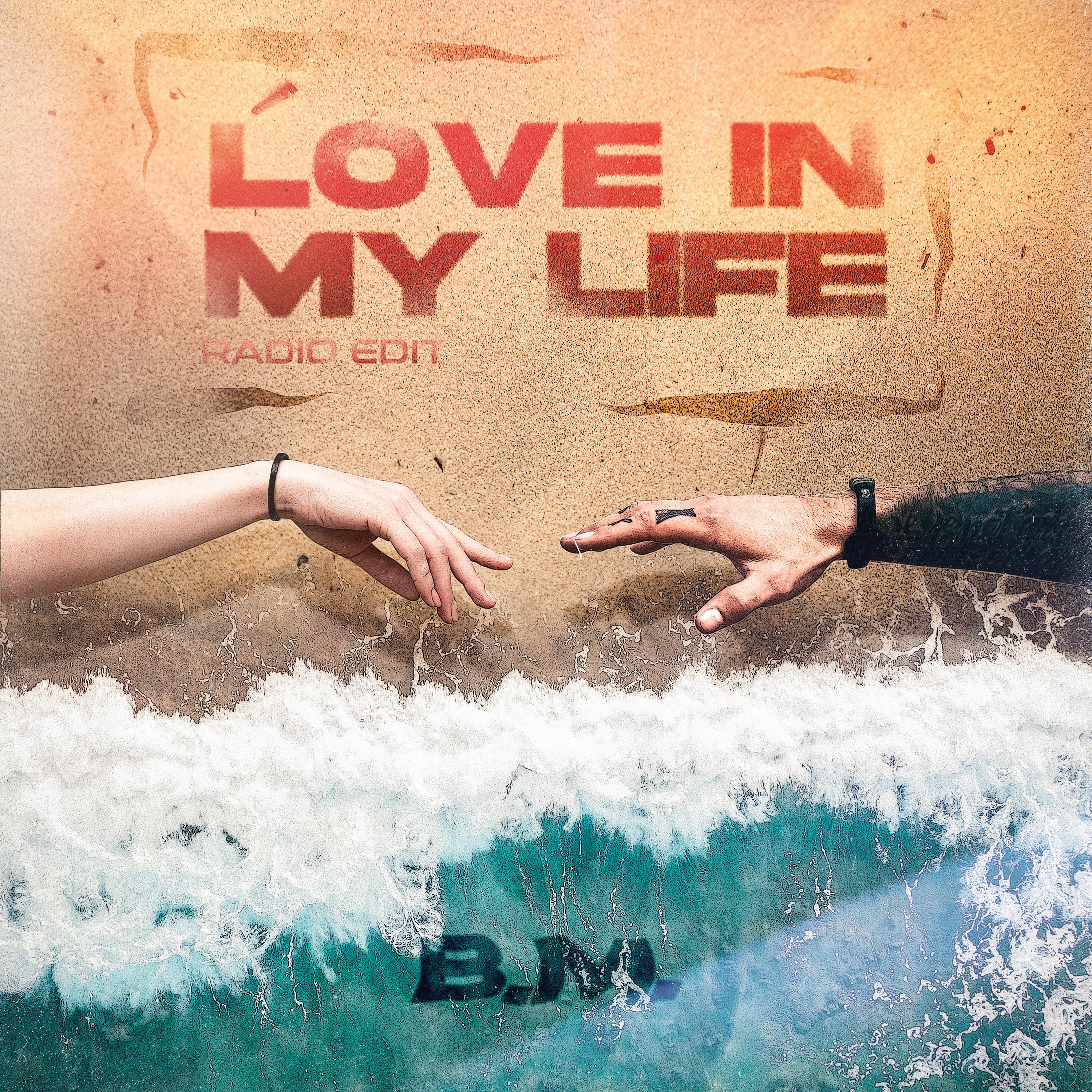 Постер альбома Love in My Life (Radio Edit)