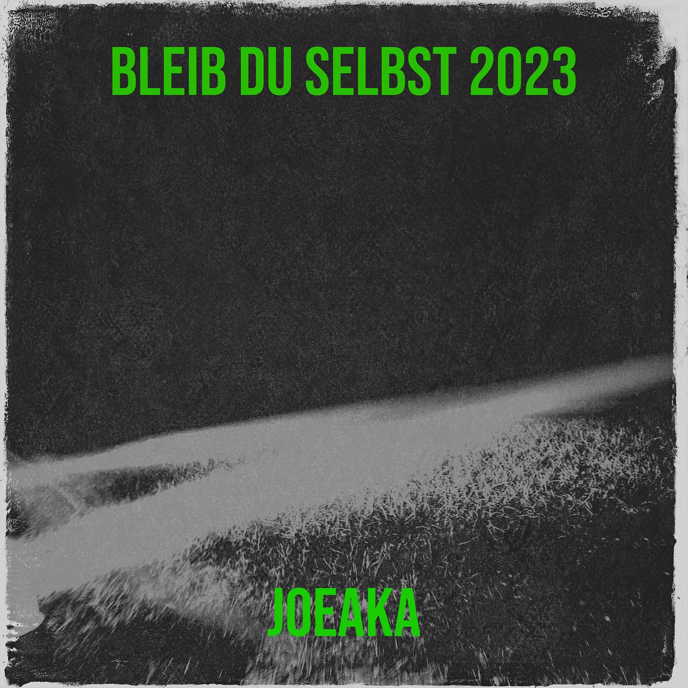 Постер альбома Bleib Du Selbst 2023