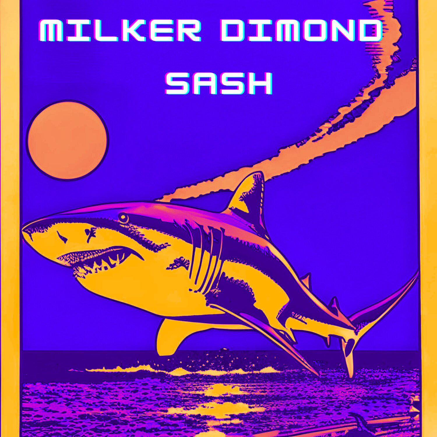 Постер альбома Sash