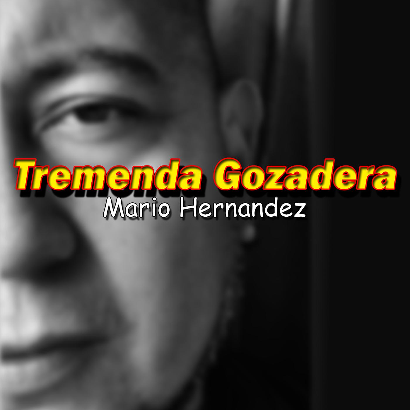 Постер альбома Tremenda Gozadera