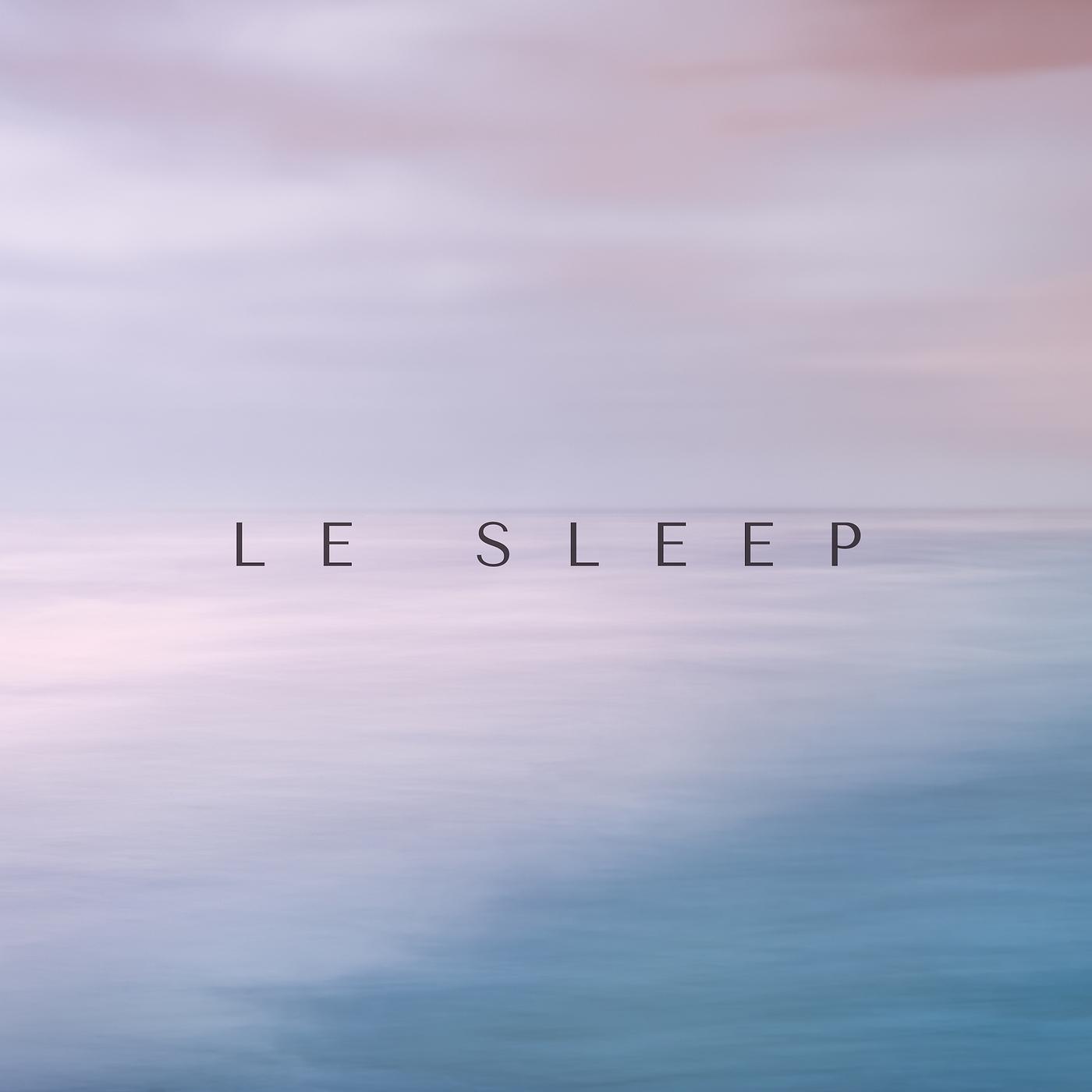 Постер альбома Le Sleep