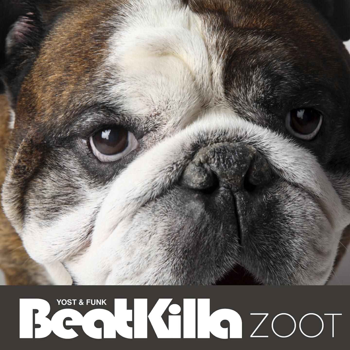 Kevin Yost - Zoot