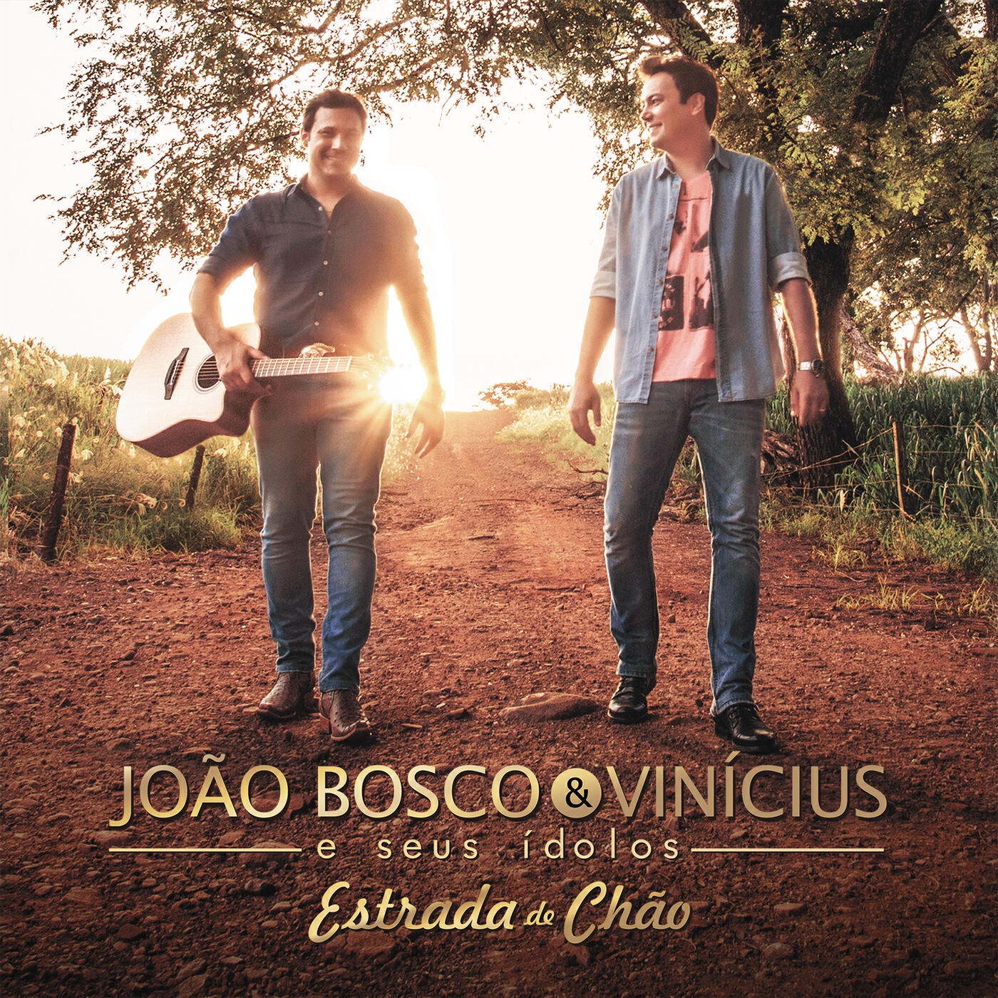 João Bosco & Vinicius - Em Algum Lugar Do Passado