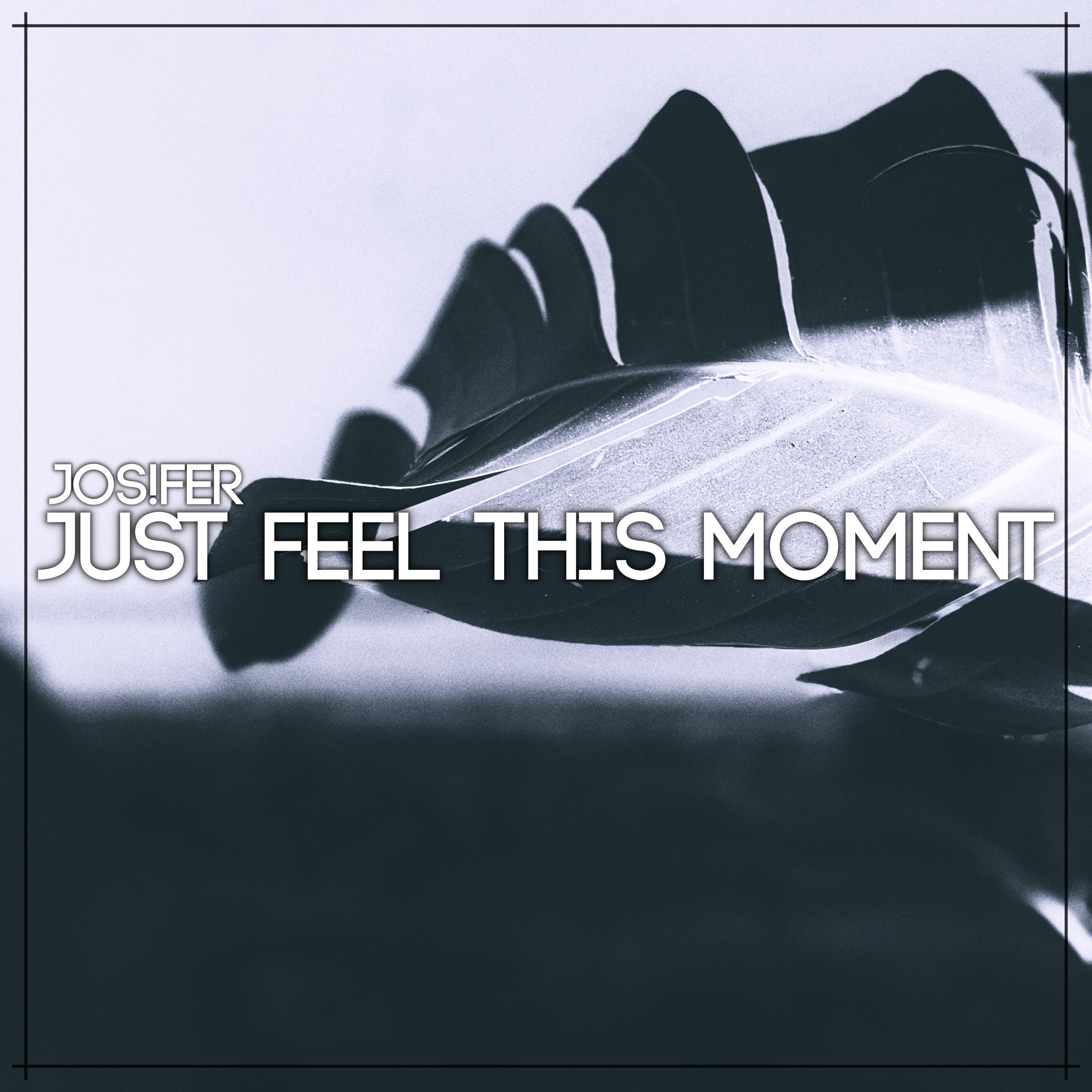 Постер альбома Just Feel This Moment