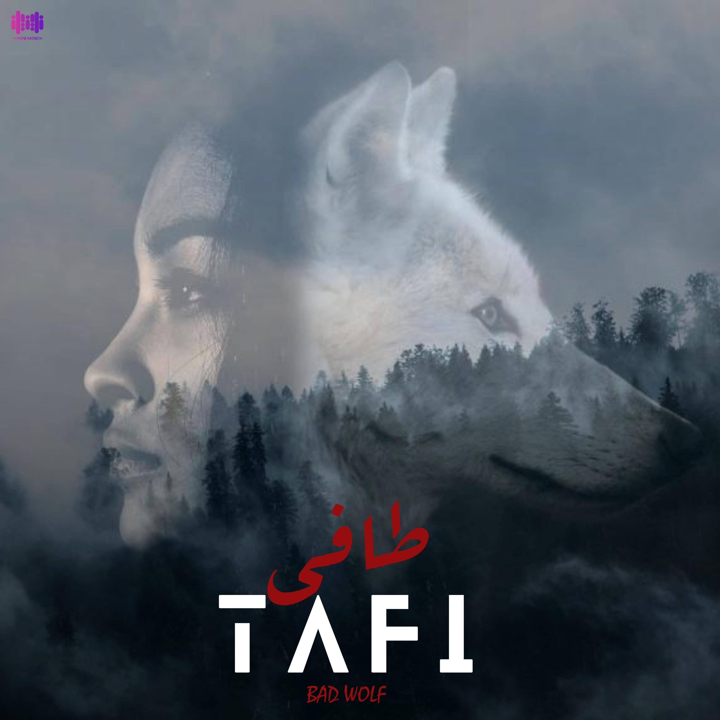 Постер альбома طافي