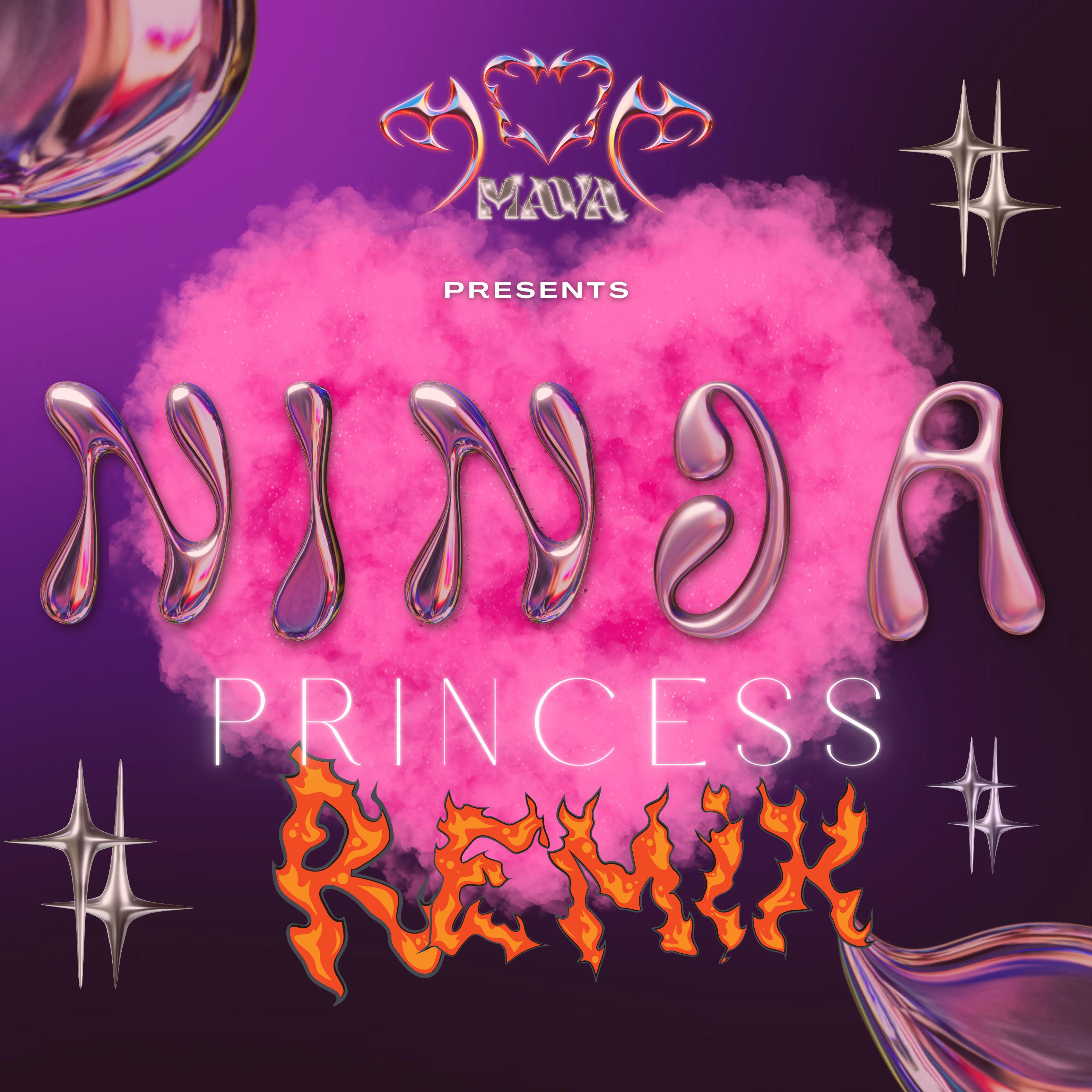 Постер альбома Ninja Princess