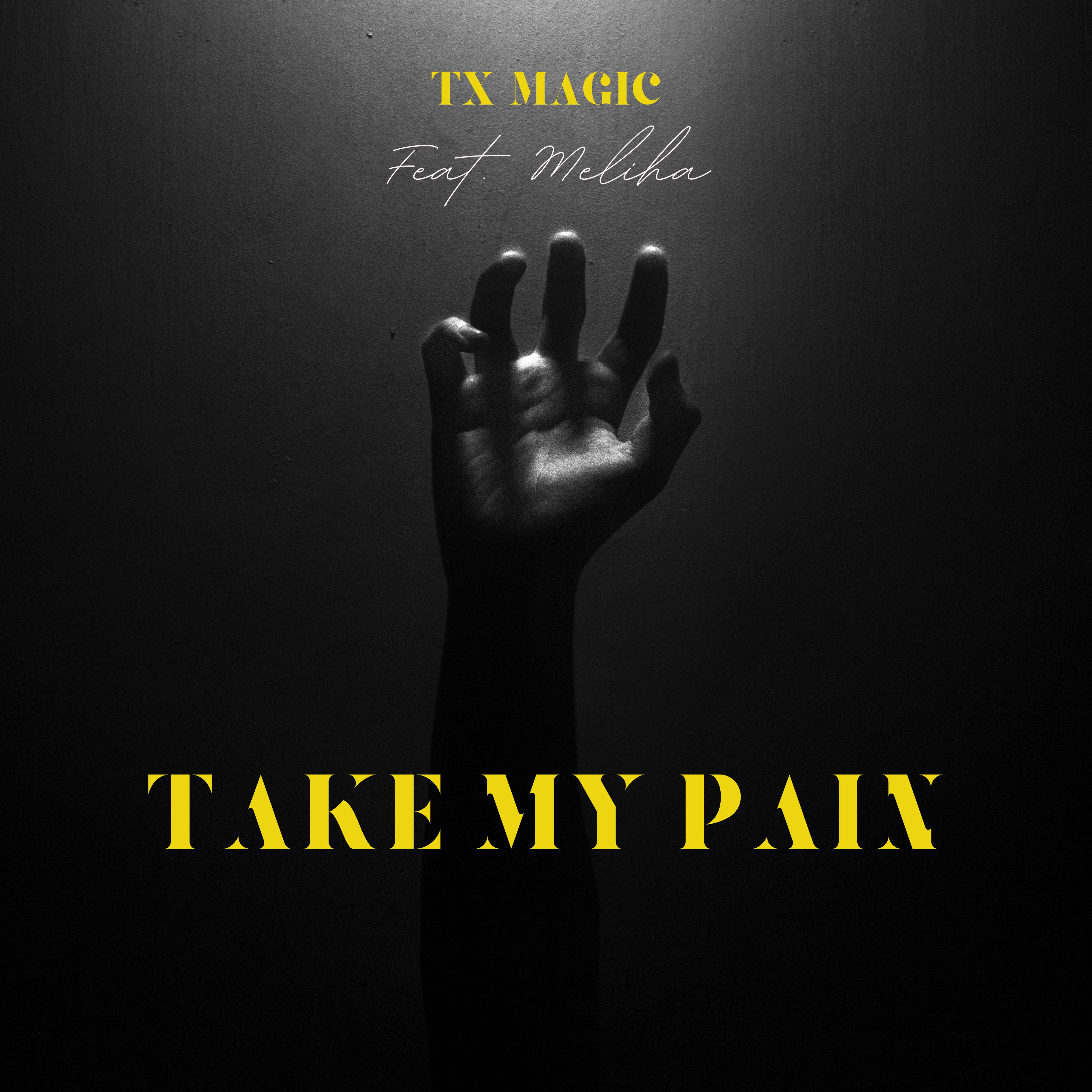 Постер альбома Take My Pain
