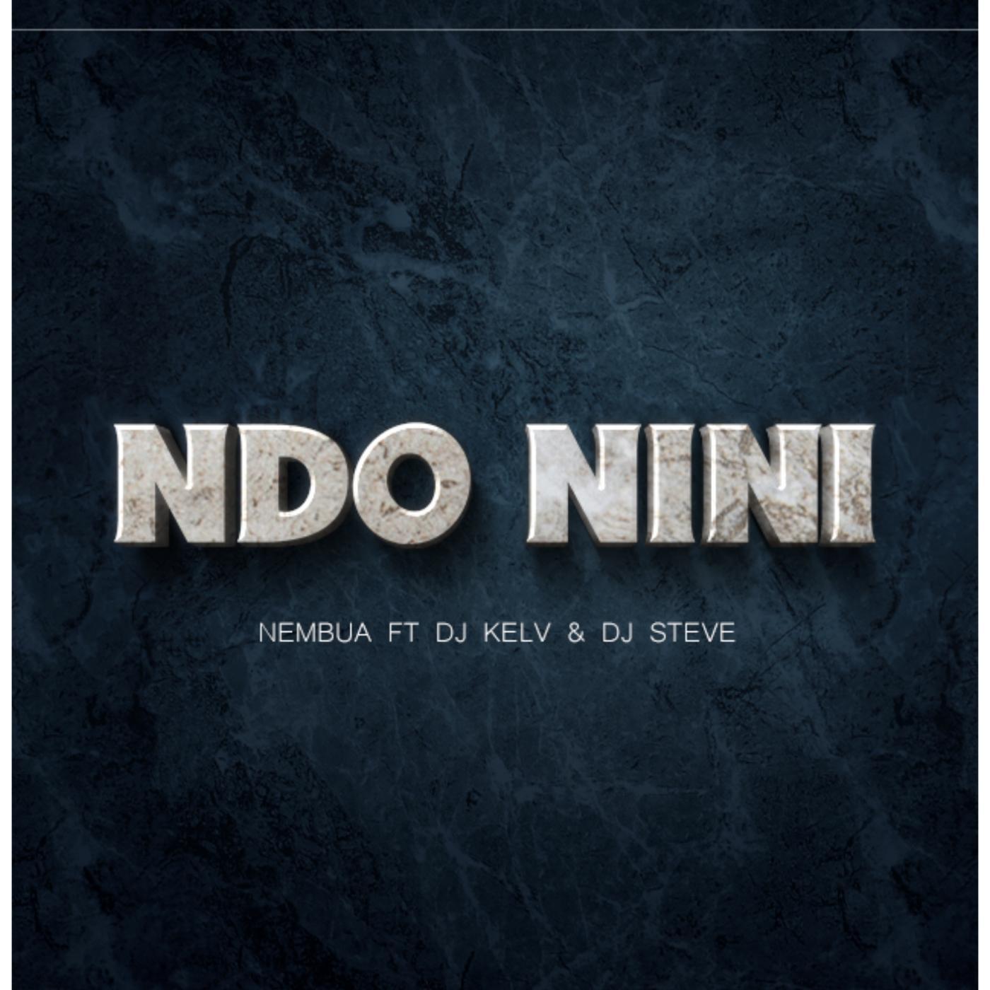 Постер альбома Ndo nini (feat. DJ kelv & DJ steve)