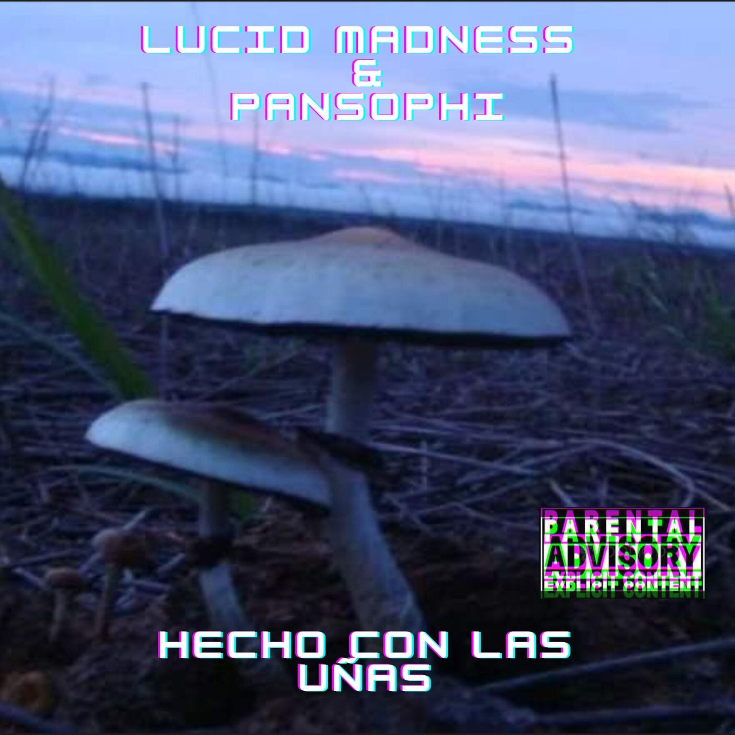 Постер альбома Hecho Con las Uñas