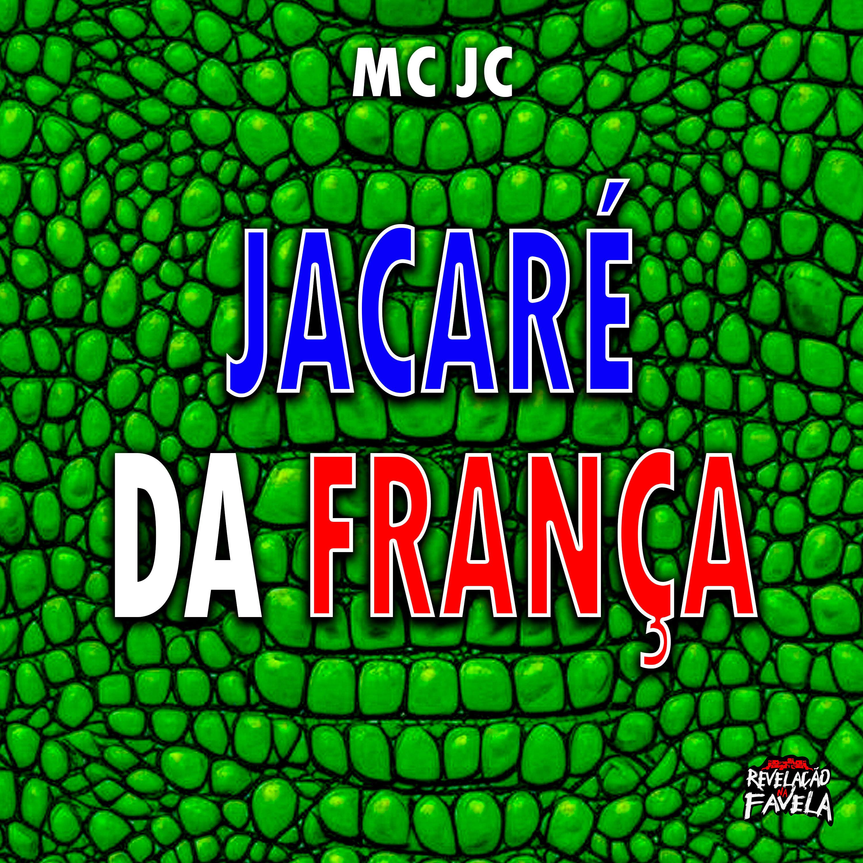 Постер альбома Jacaré da França