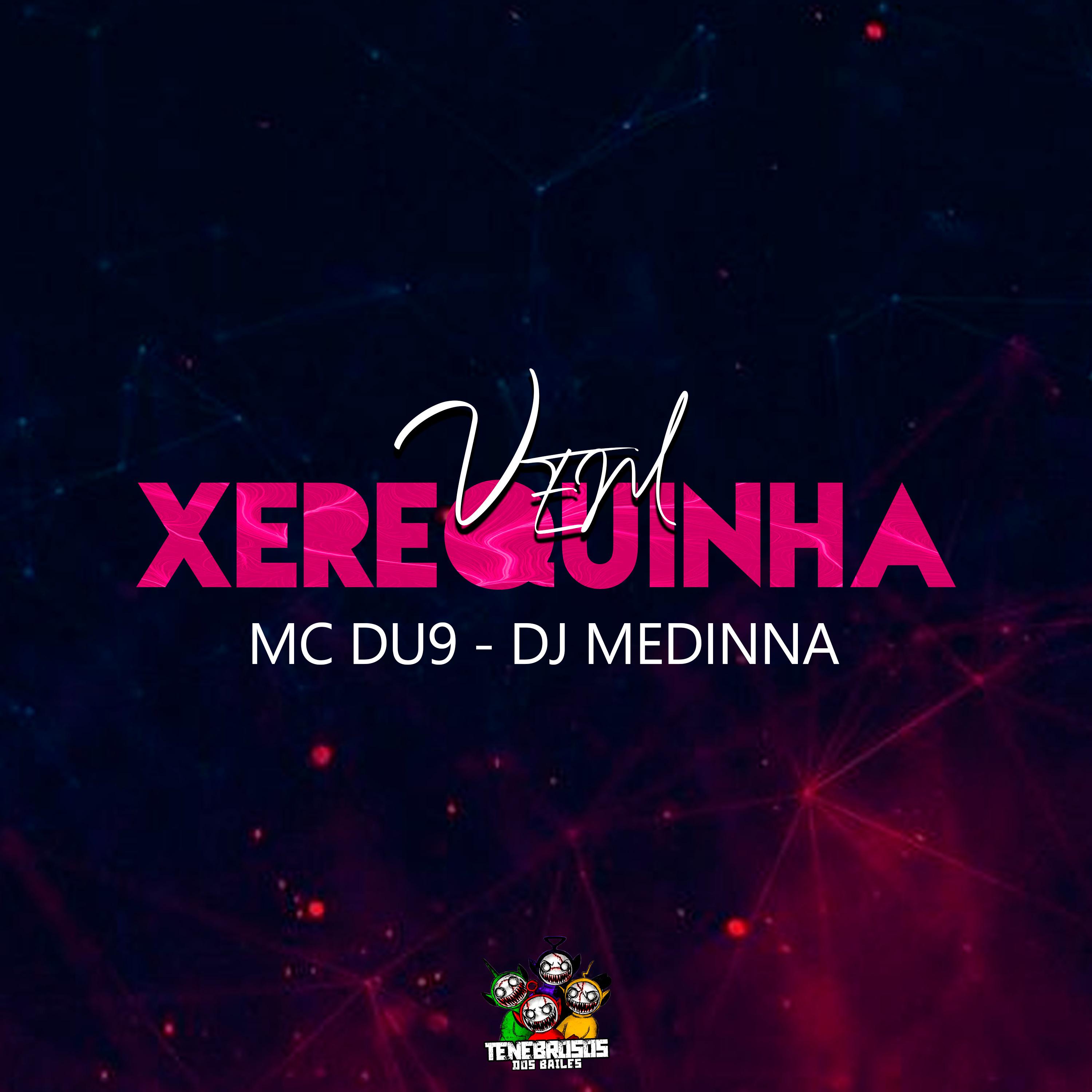 Постер альбома Vem Xerequinha