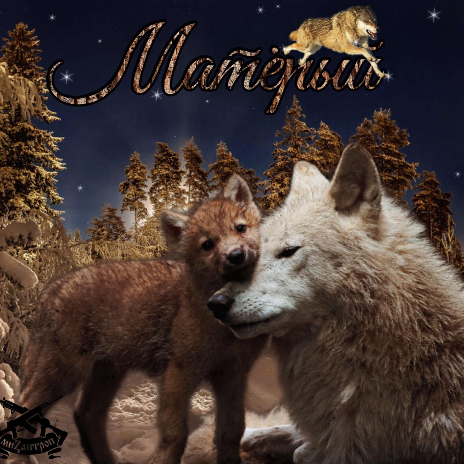 Альбом Матёрый исполнителя Мизантроп