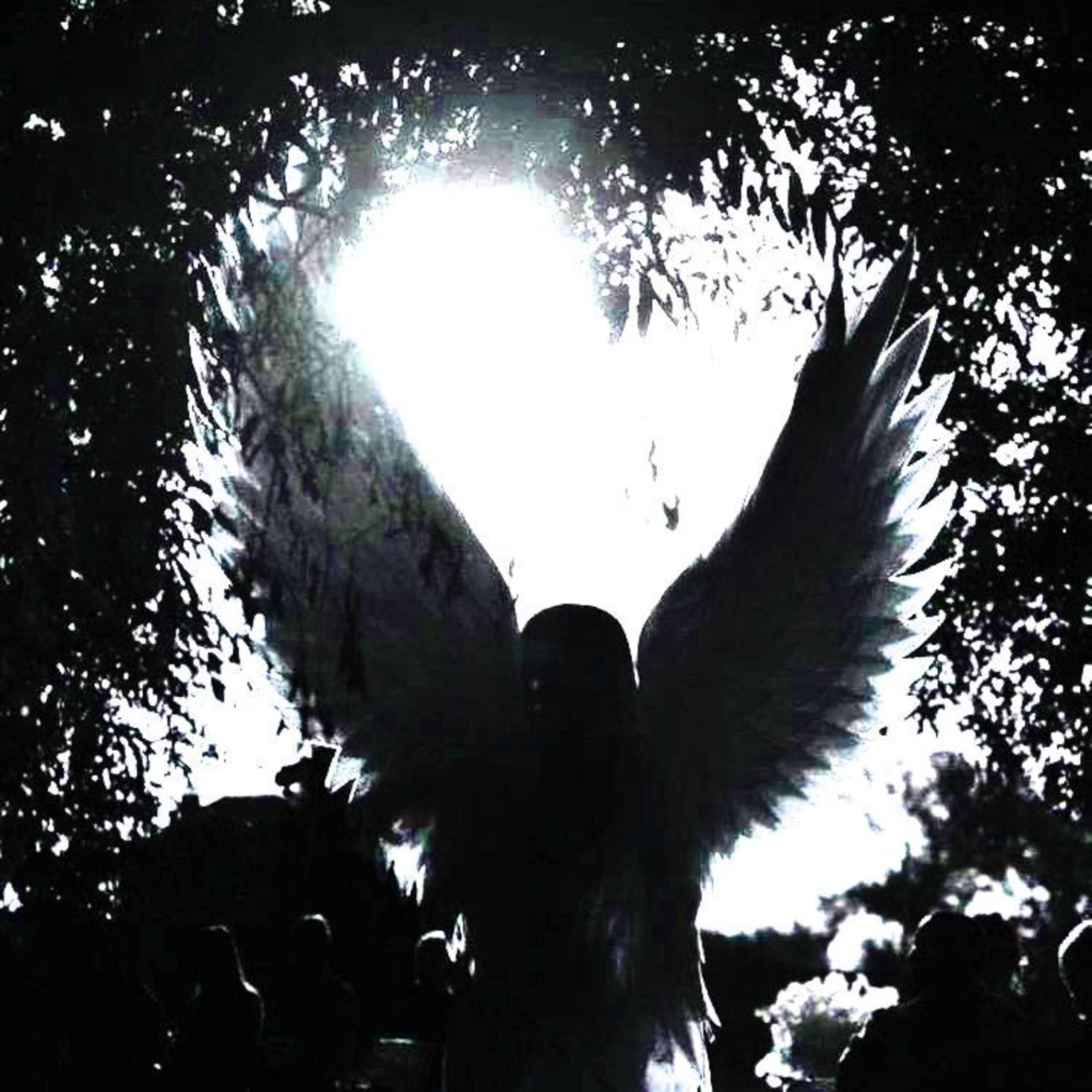 Your mind kenny carter yung dexn. Your mind kenny carter yung dexn. Kennycarter yung dexn. блинк blinkthugger. Kennycarter yung dexn.