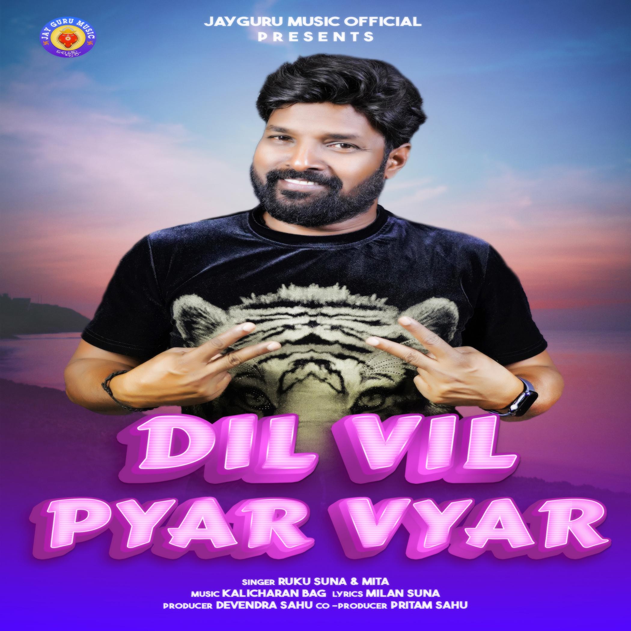 Постер альбома Dil Vil Pyar Vyar