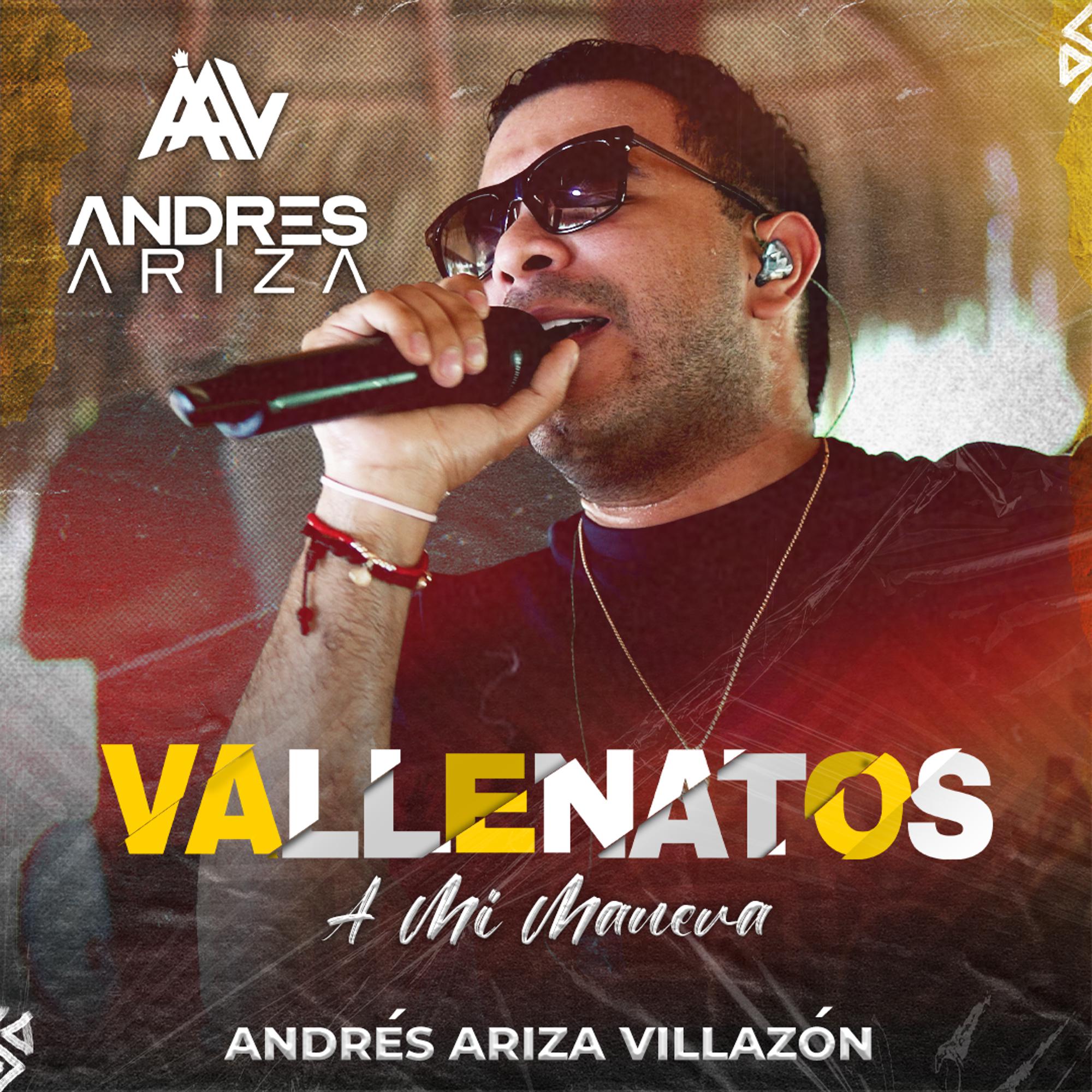 Постер альбома Vallenatos A Mi Manera