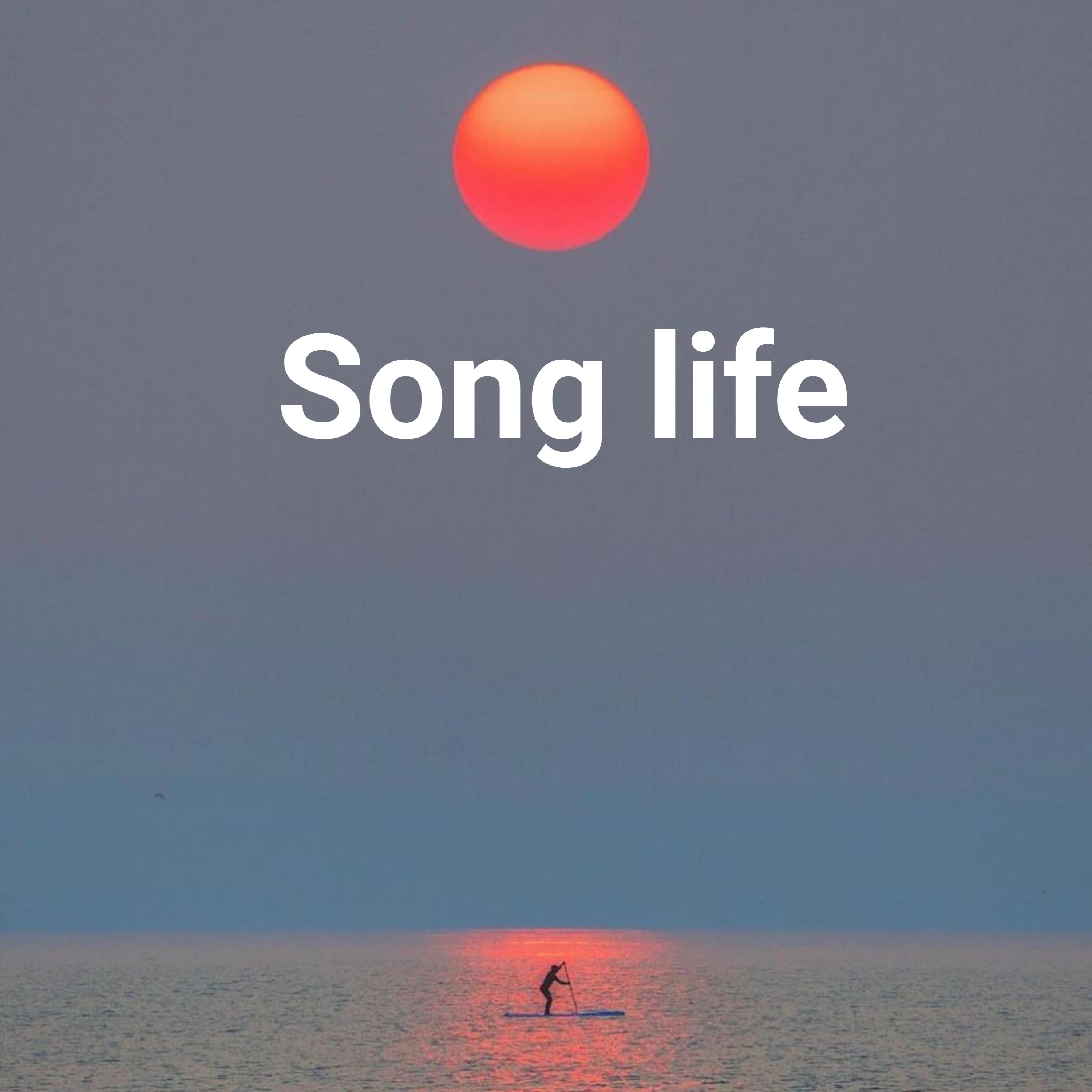 Постер альбома Song life